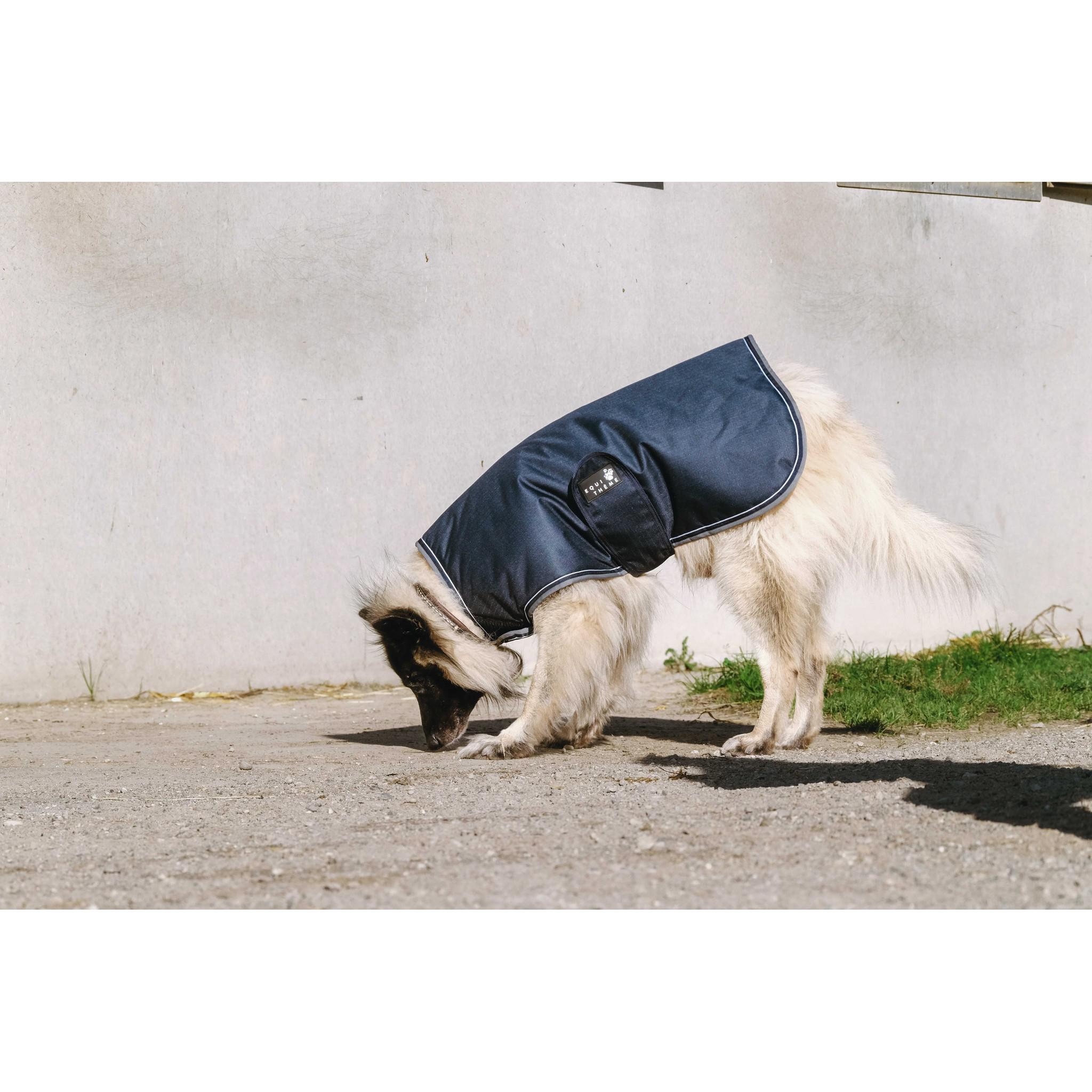 EQUITHÈME Tyrex 600D Dog Rug Blue/grey 409036260