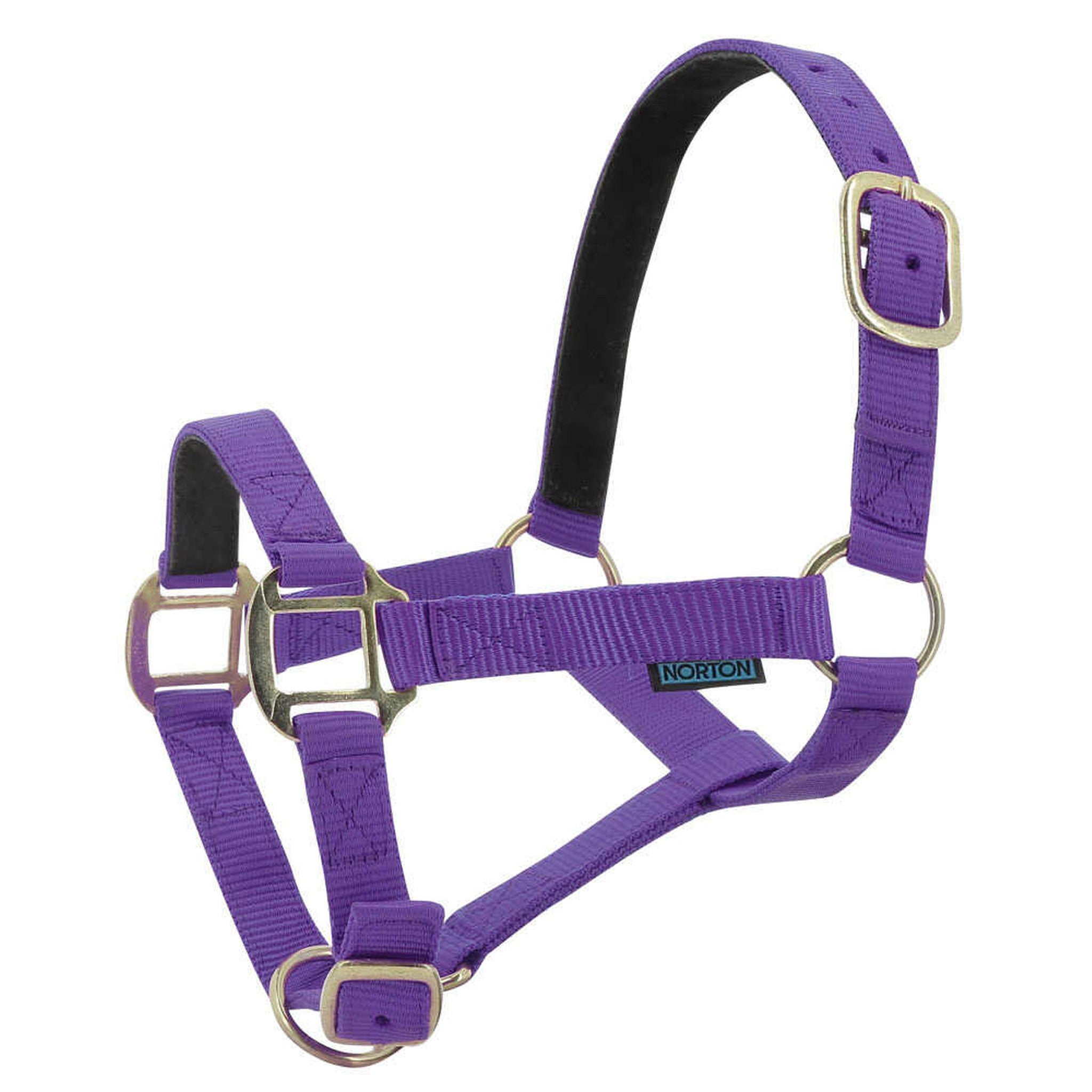 Norton Leather lined nylon headcollar Purple 510175015