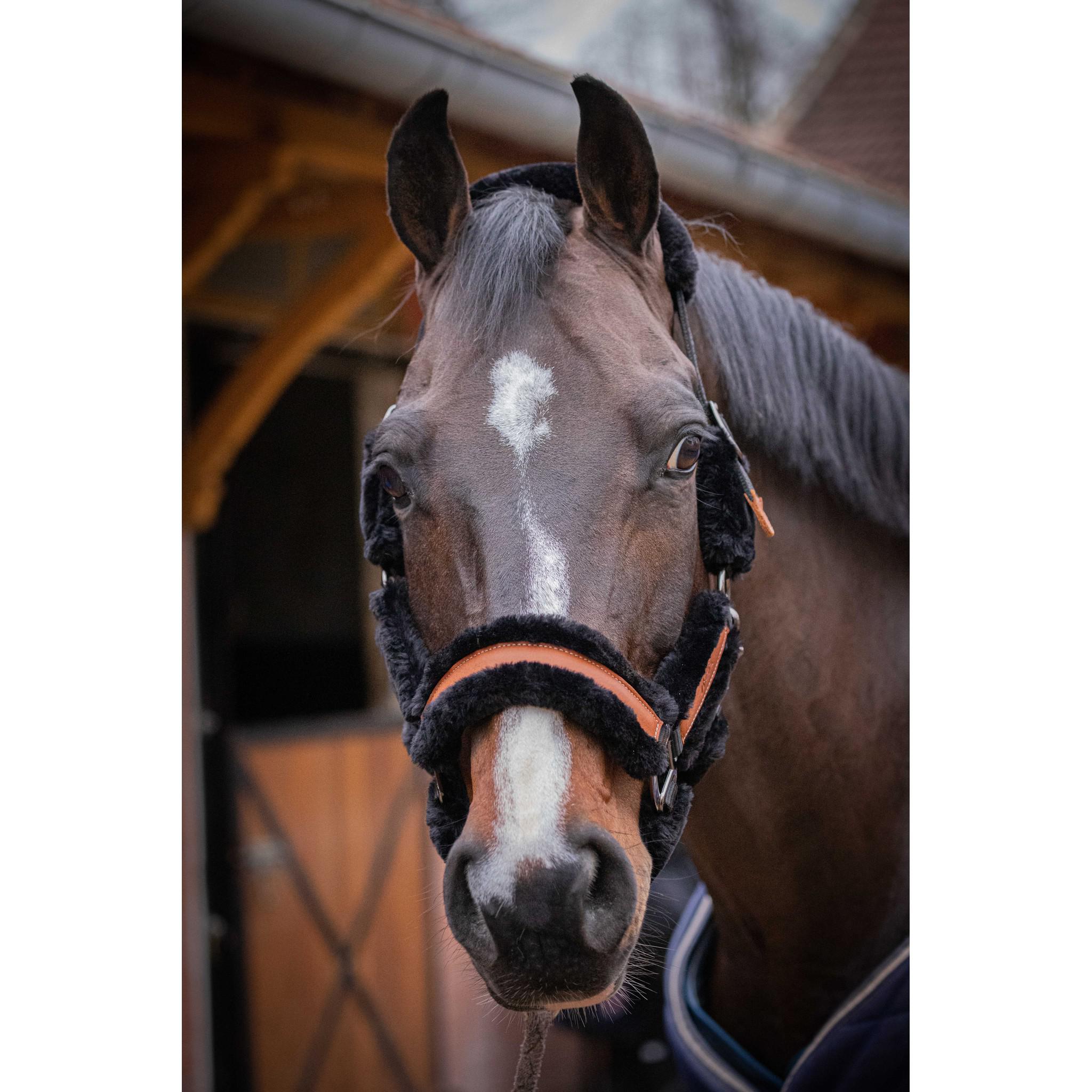 Pénélope Soft halter Black/ecru 510902325