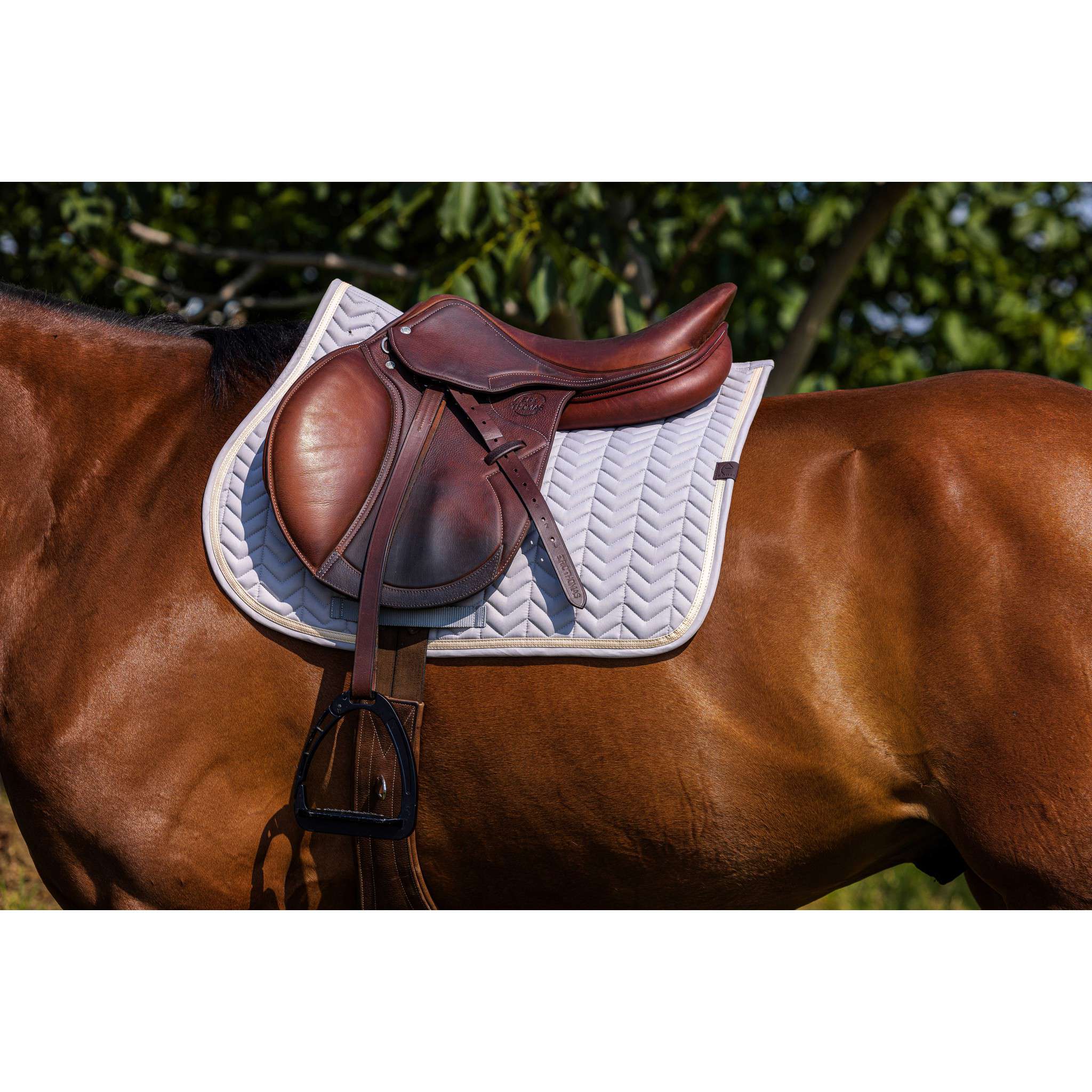 EQUITHÈME Softypop Saddle Pad - All purpose Grey 204003021