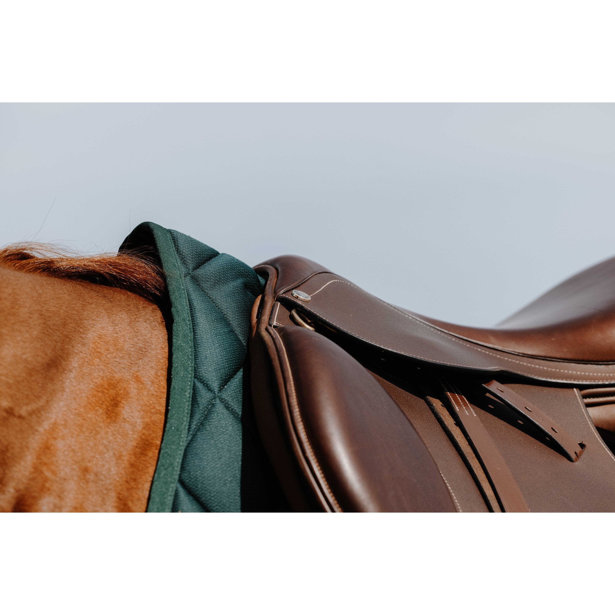 Riding World School Saddle Pad - All purpose Dark green 204057009