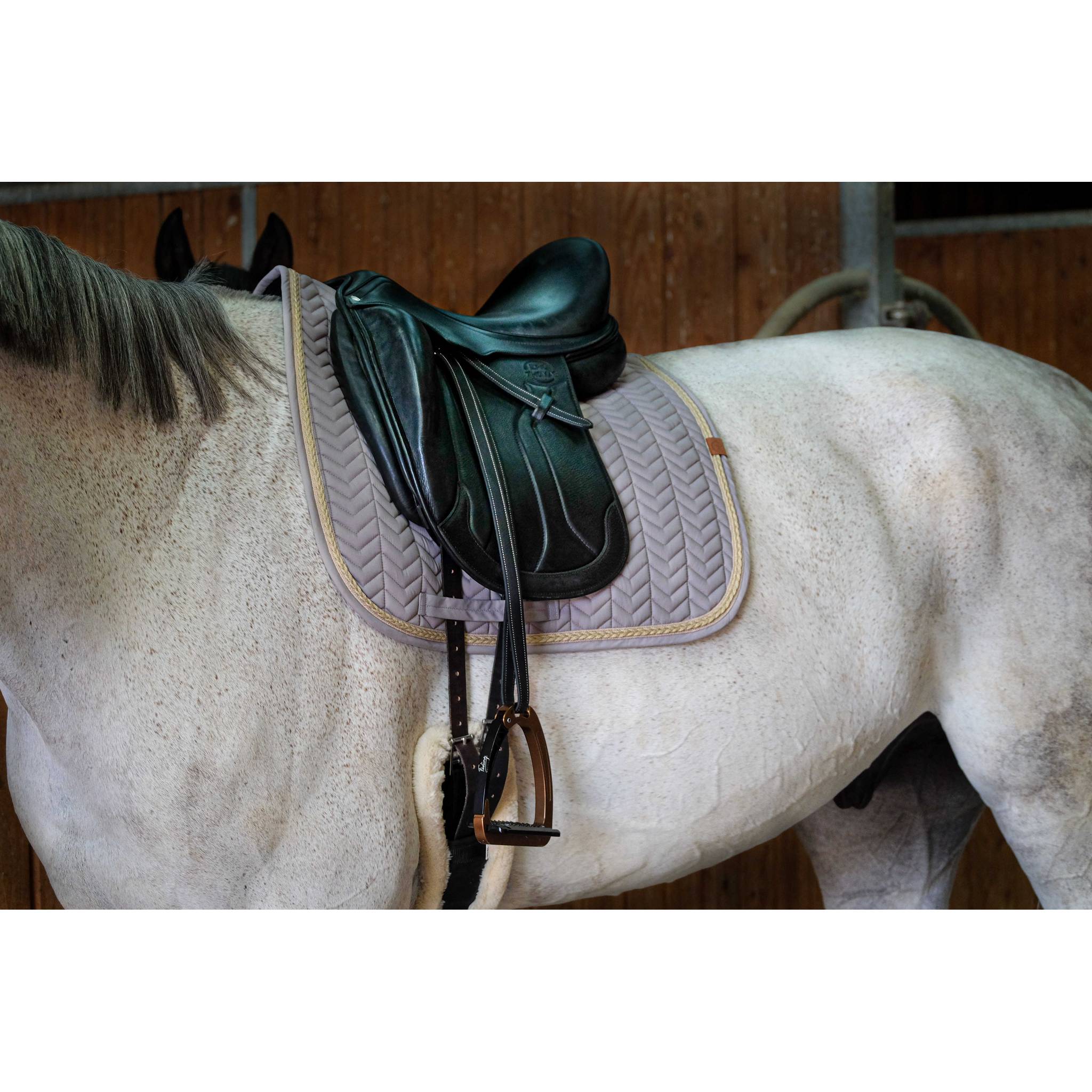 EQUITHÈME Softy Dressage Saddle Pad Light grey - 204766021_ambi_1