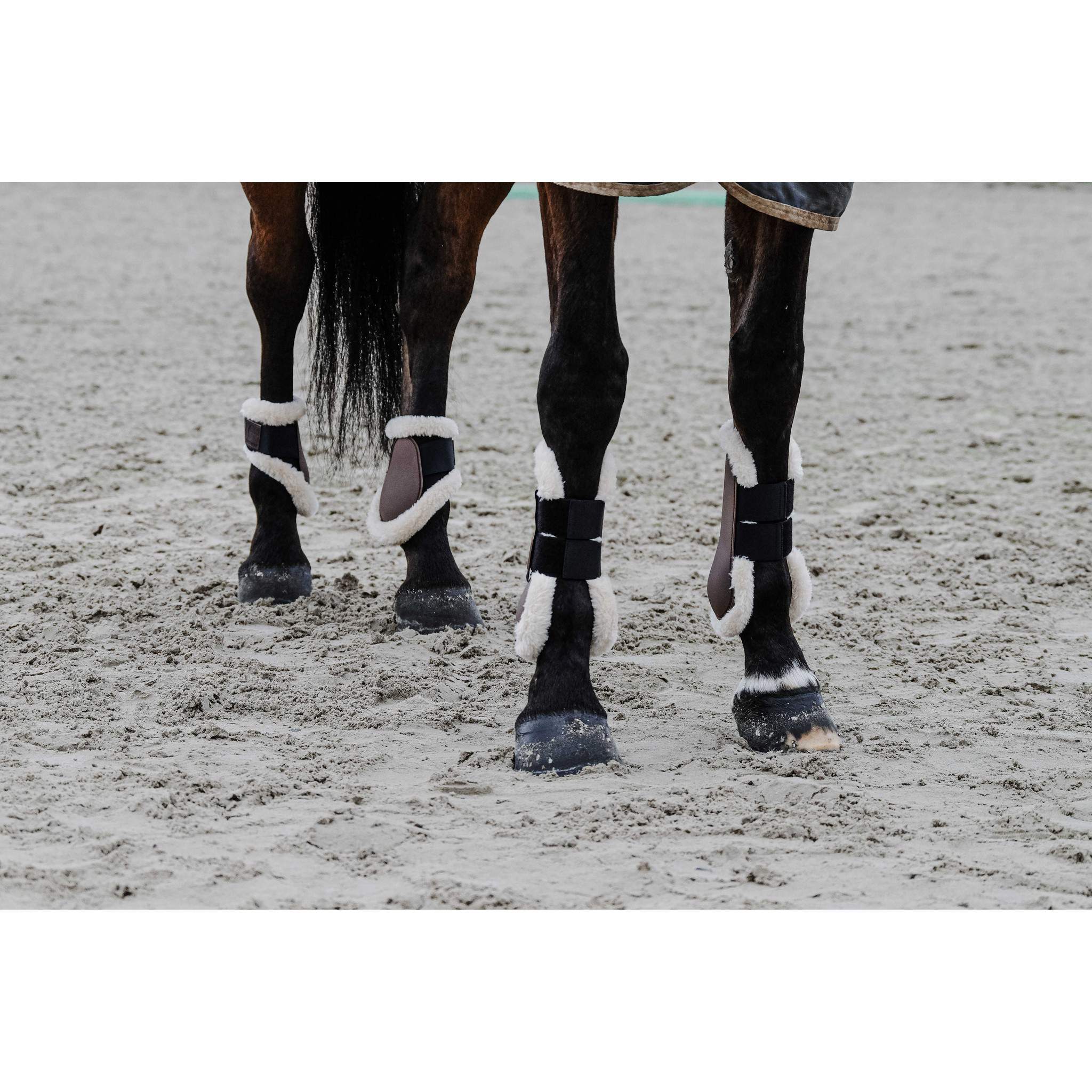 EQUITHÈME Boa Fetlock boots chestnut brown 530819304