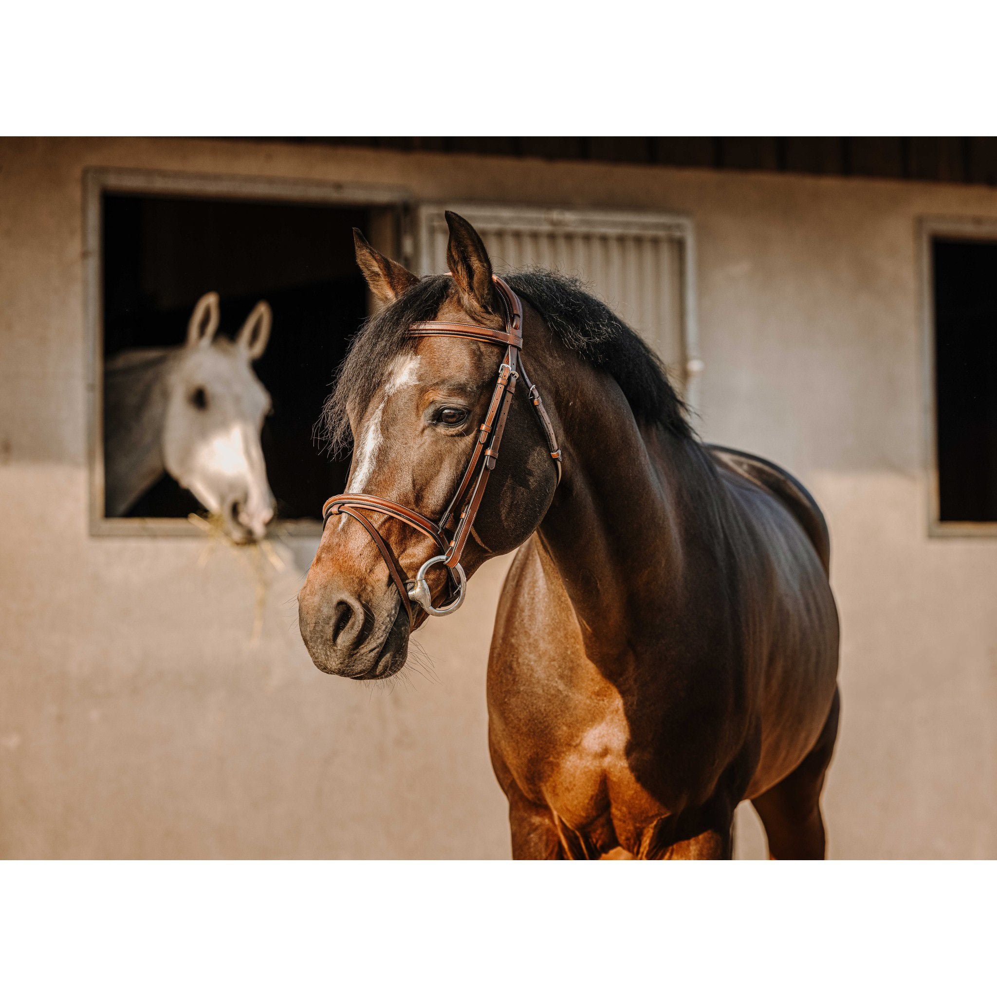 Éric Thomas Crown Bridle Havana 301908318