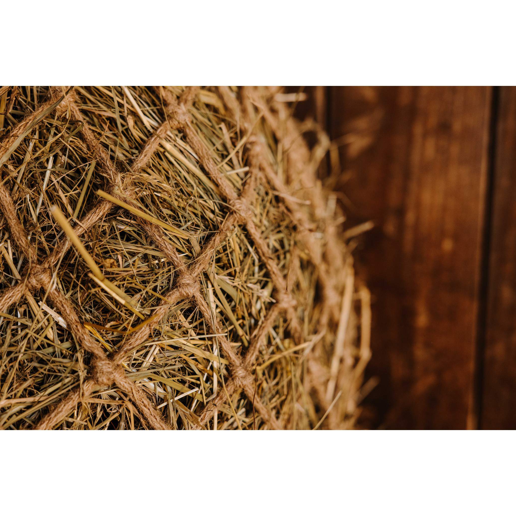 Hippo-Tonic Naturel Hay Net Natural 306841005