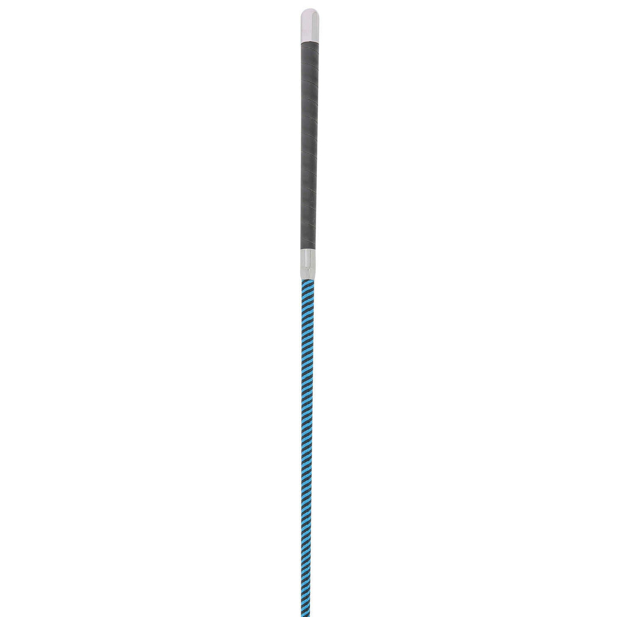 WHIP & GO - Tourillon - Lunge Whip Black/turquoise 953401002