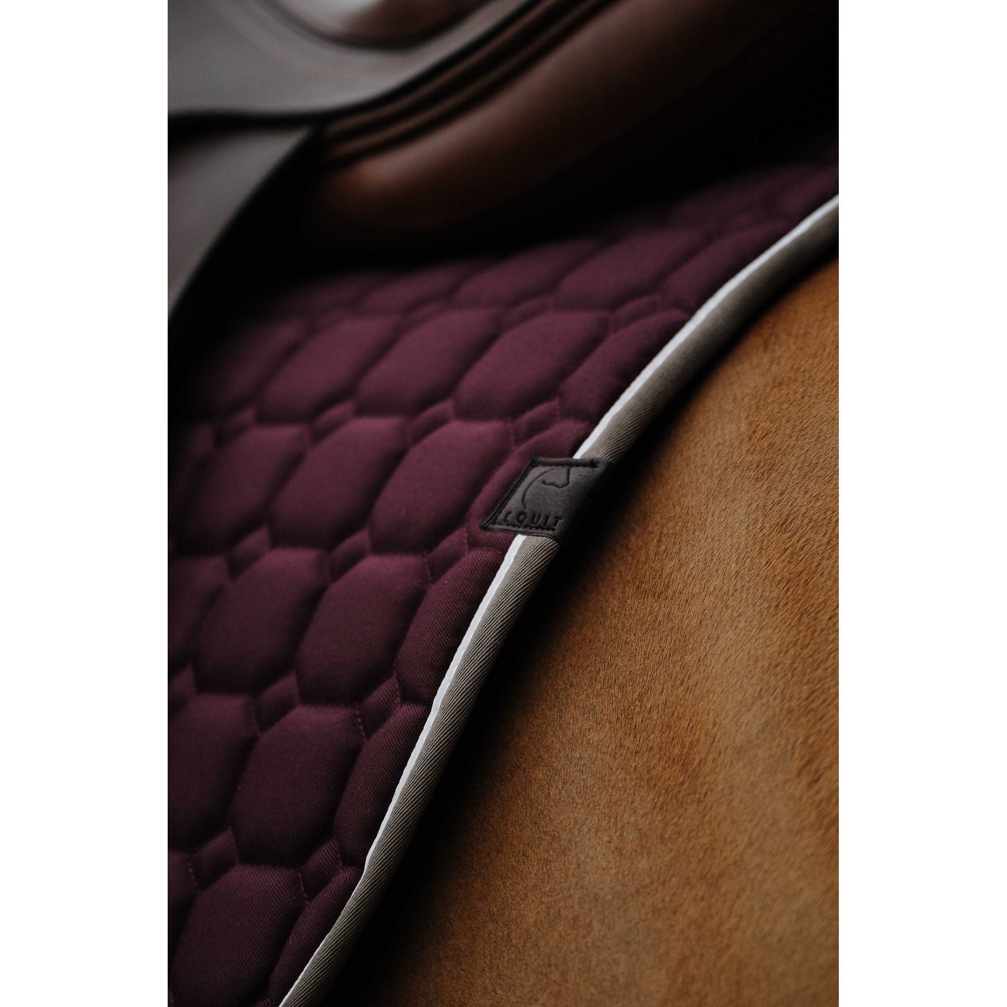 EQUITHÈME Orion saddle pad - All purpose Plum 204774034