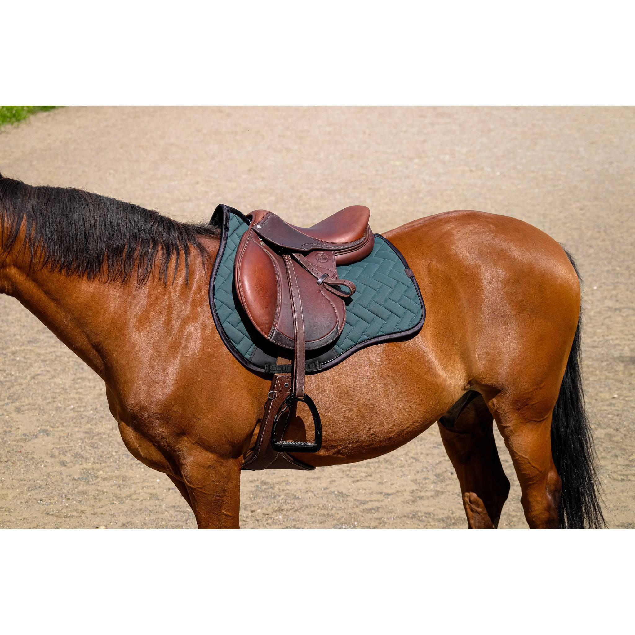 EQUITHÈME Impulsion Saddle Pad - All purpose Green 204006009