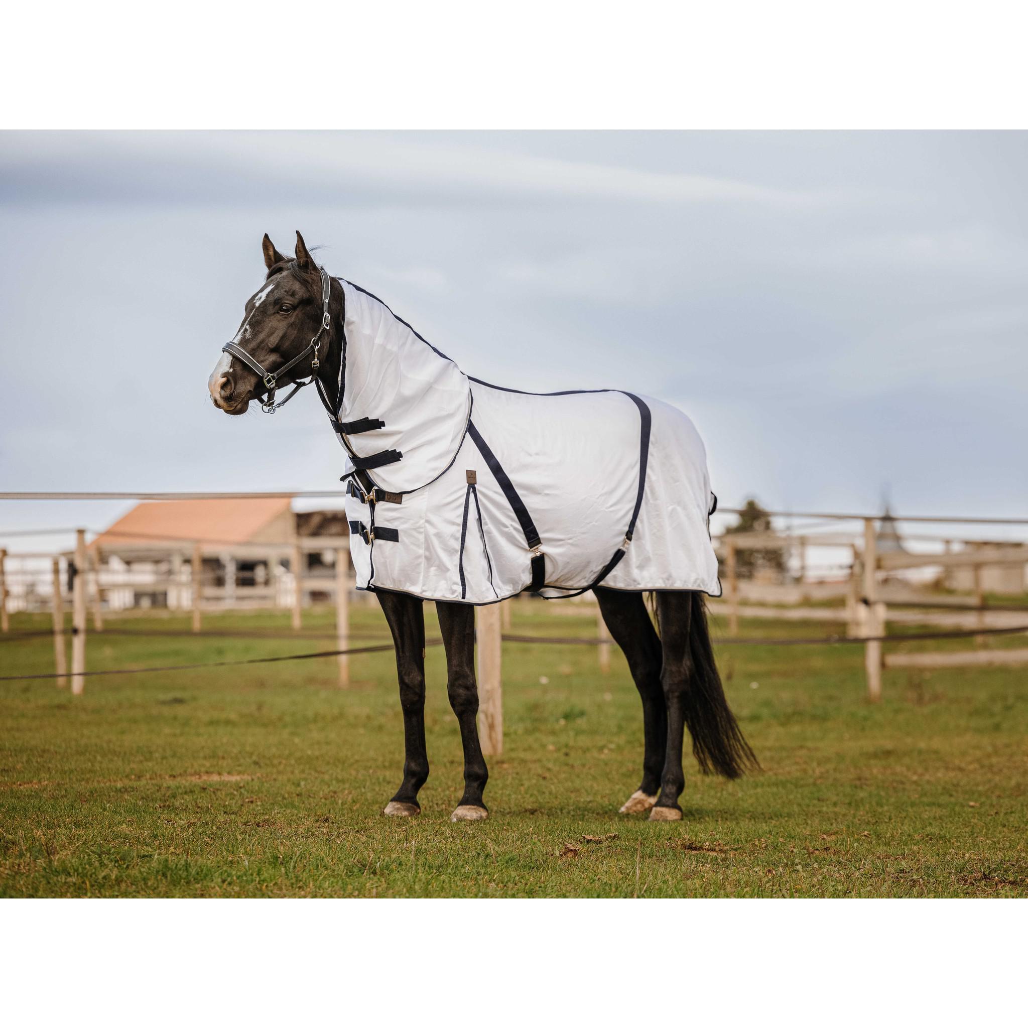 EQUITHÈME Mesh Neck cover White 400361003