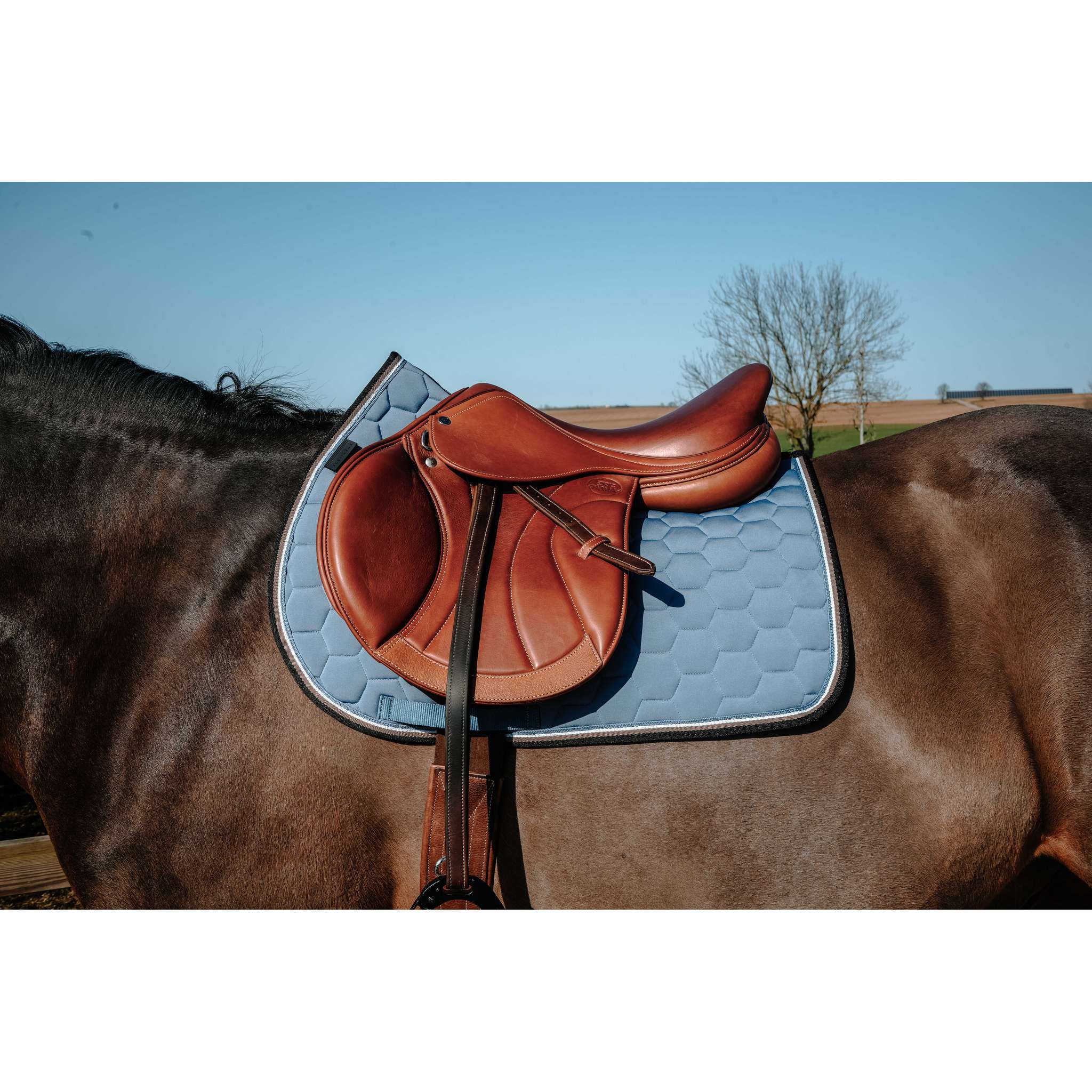 EQUITHÈME All-Purpose Saddle Pad - Coco Blue - 204913019_ambi_1