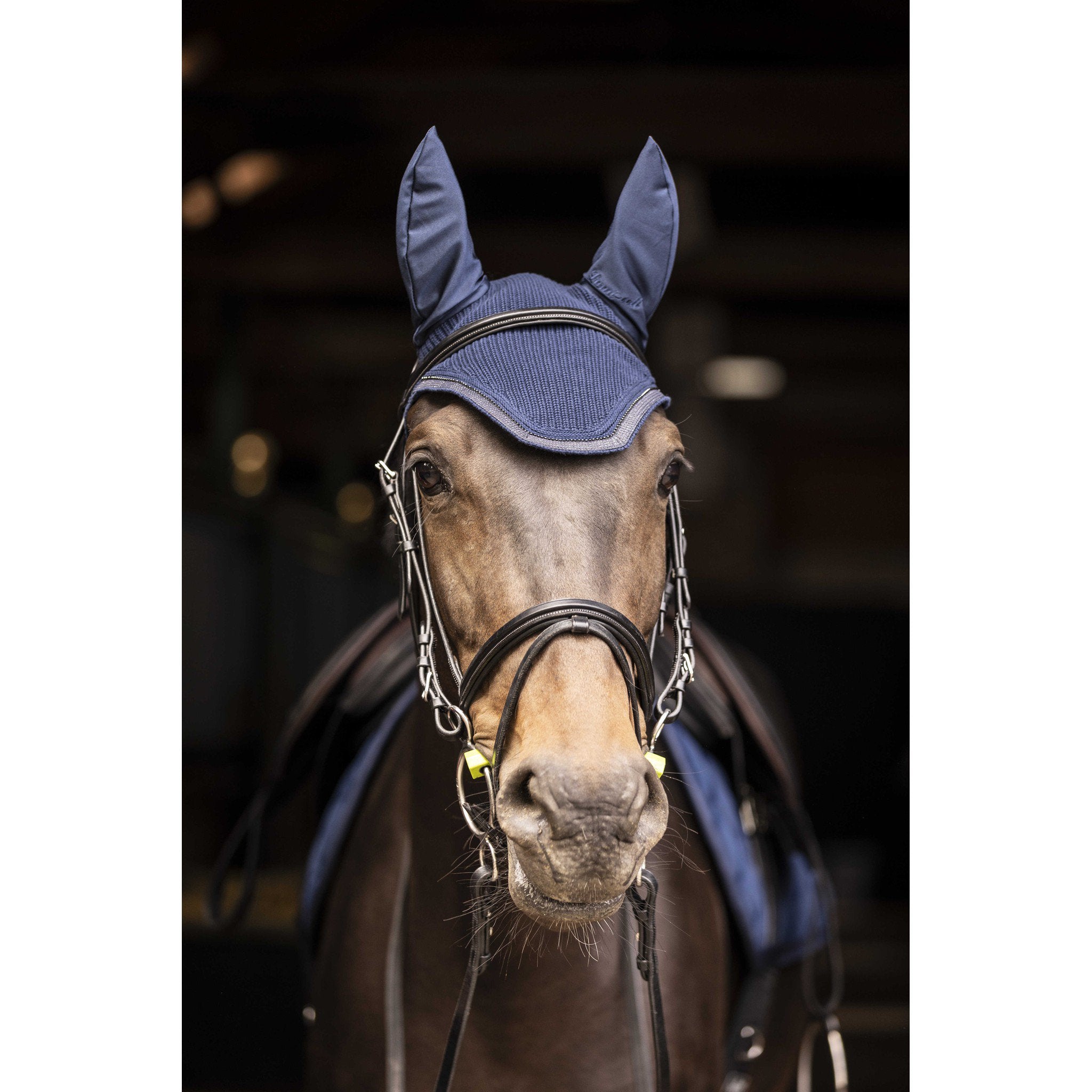 Lami-Cell Galaxy Fly Veil Navy blue 320031307