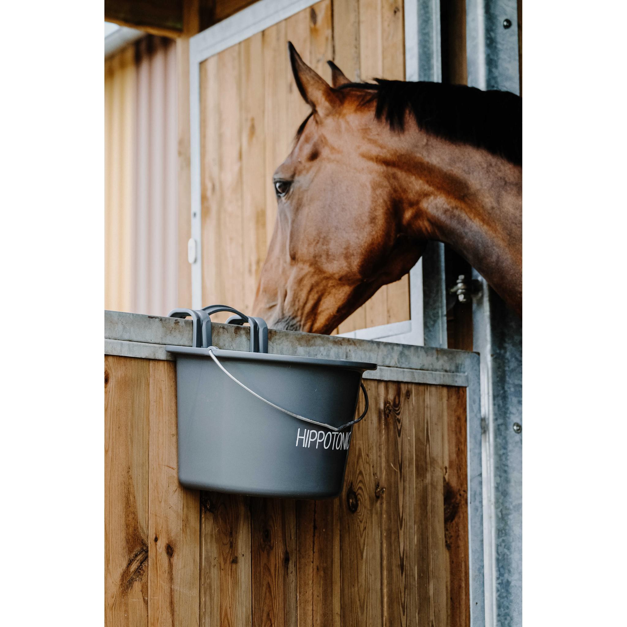 Hippo-Tonic Feeder with Hooks and Handle Dark grey 704199031