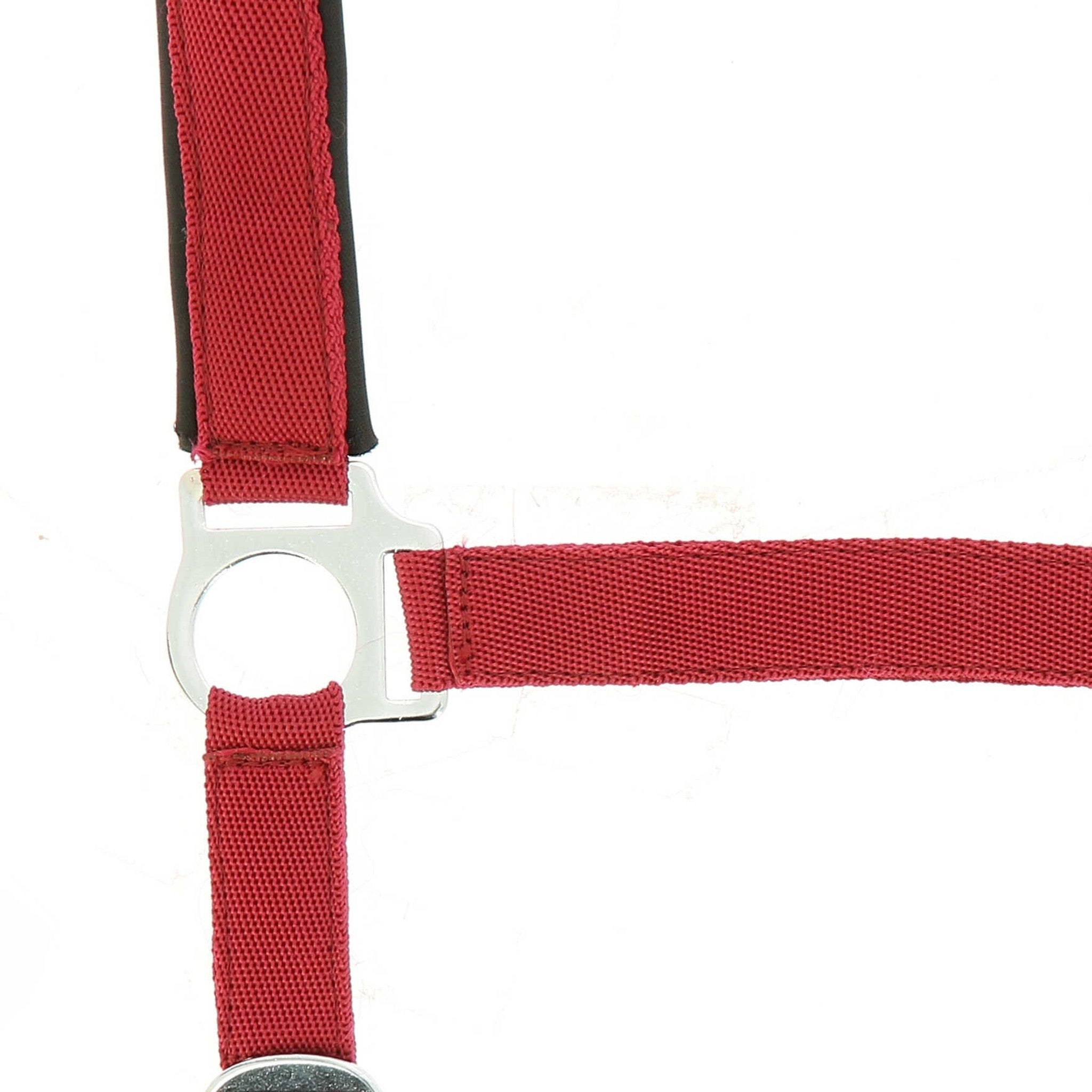 Norton nylon and neoprene lined Halter Red 510494303