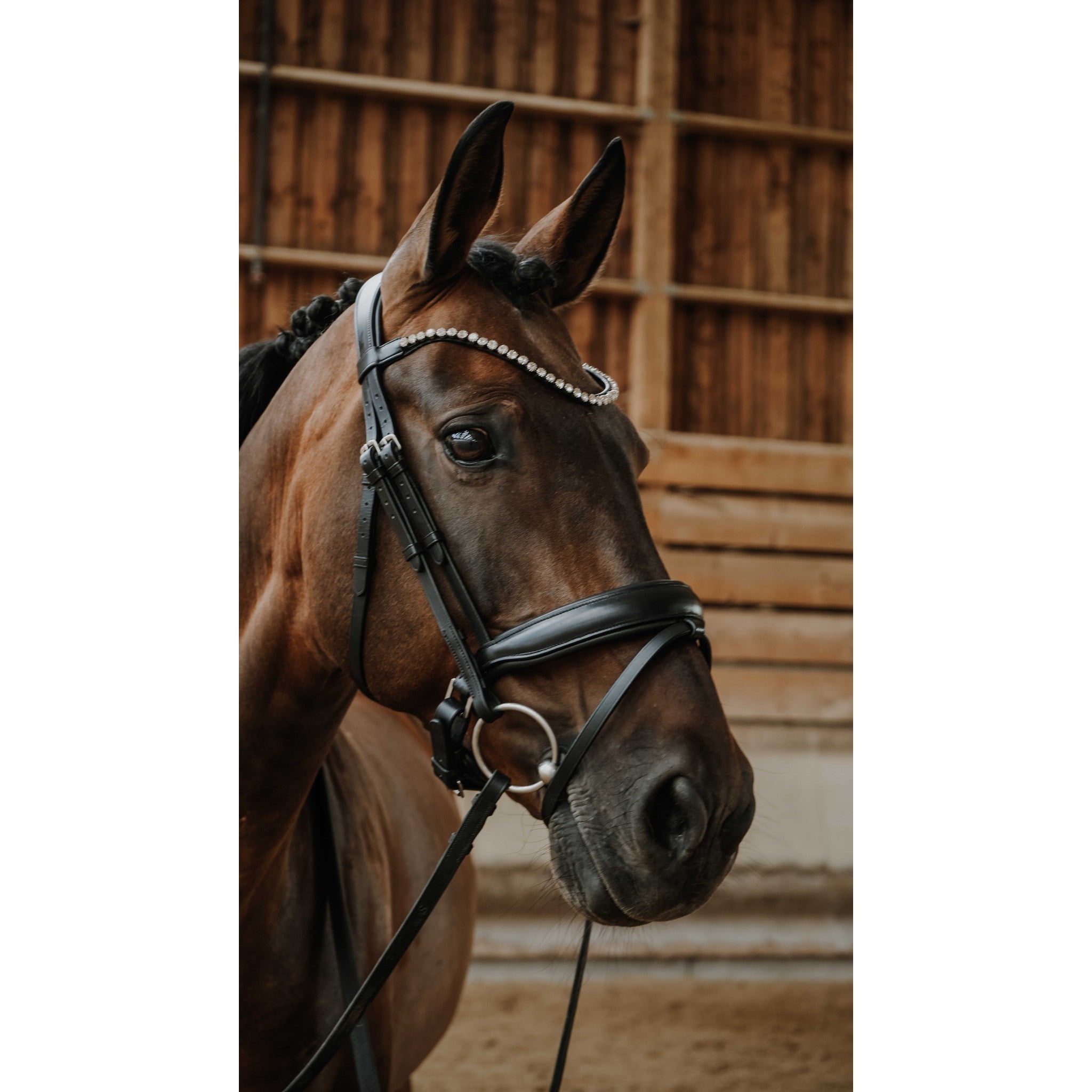 Norton Diams Bridle Black 301824302