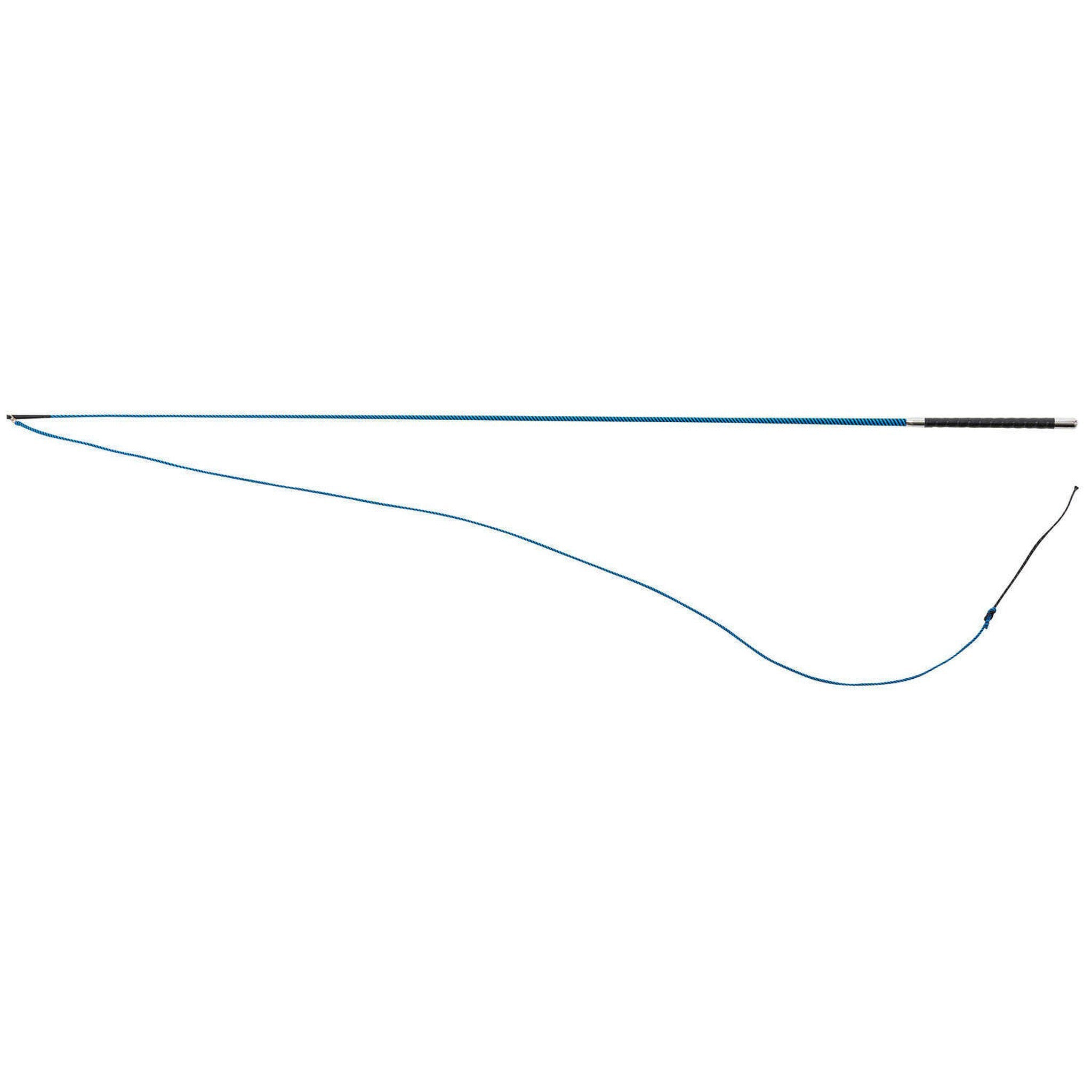 WHIP & GO - Tourillon - Lunge Whip Black/turquoise 953401002