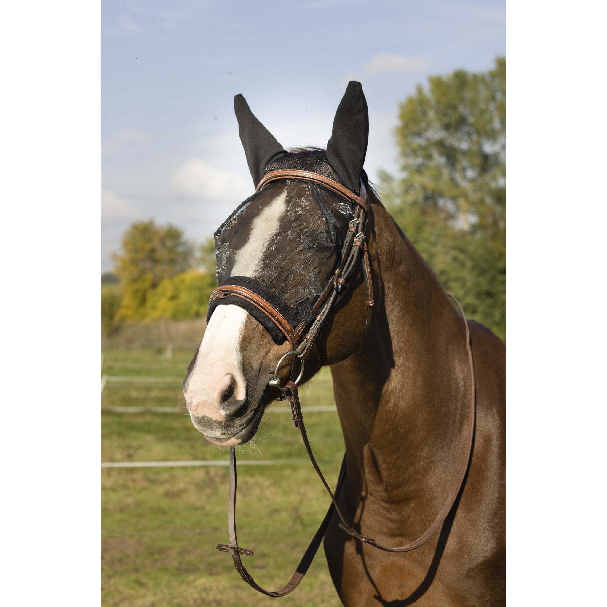 EQUITHÈME Training Anti-UV Fly Mask - Black - 306009201_ambi_2