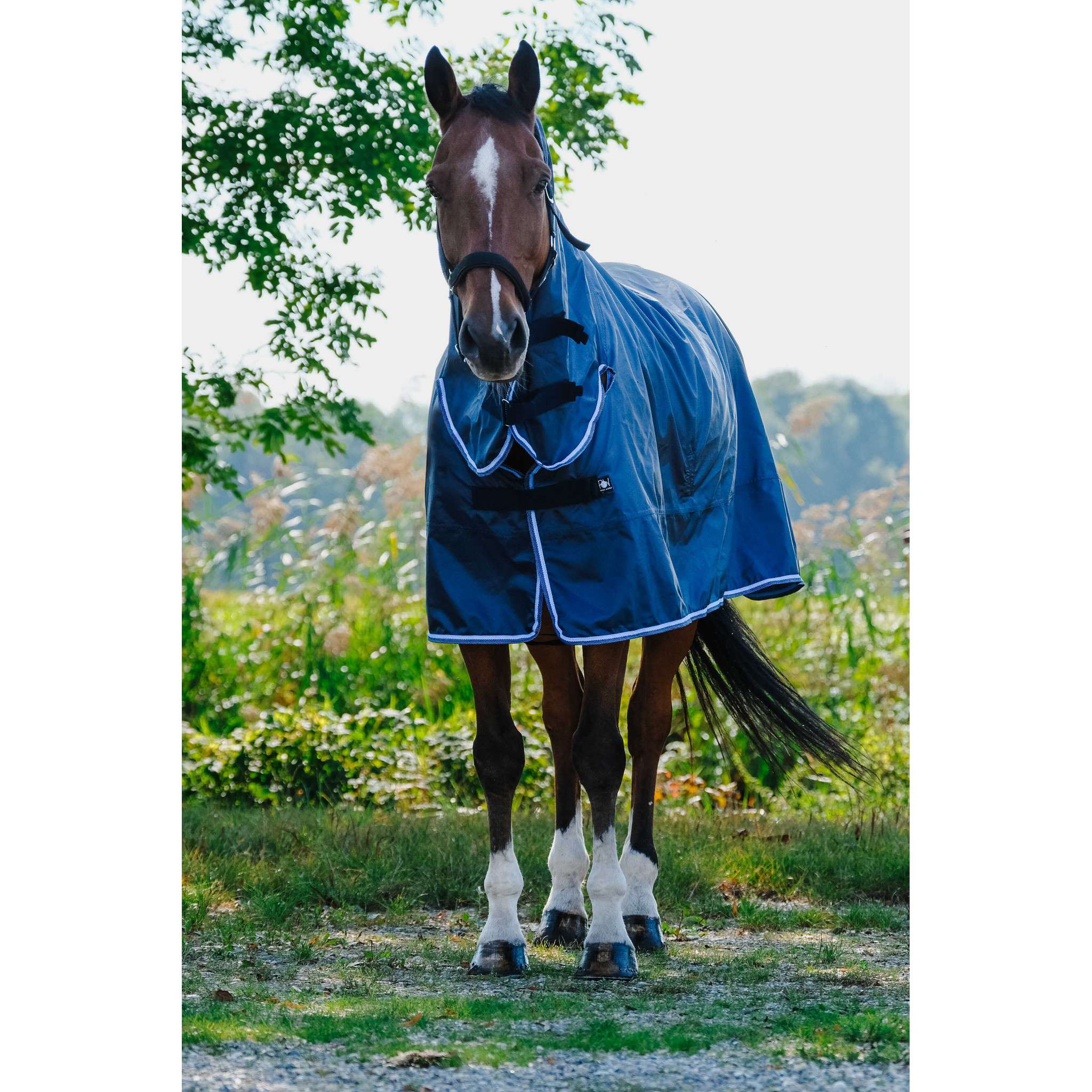 Riding World Rain Sheet - Combo Navy blue 400706063