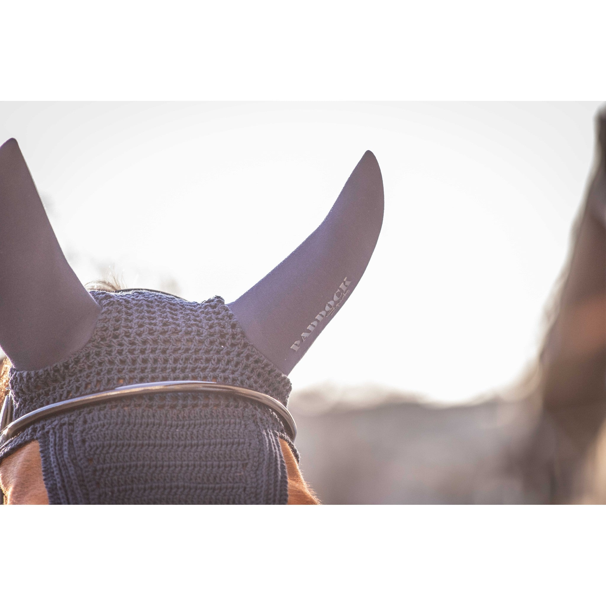 Paddock Sports Soundless Long Fly Veil Navy blue 306907107