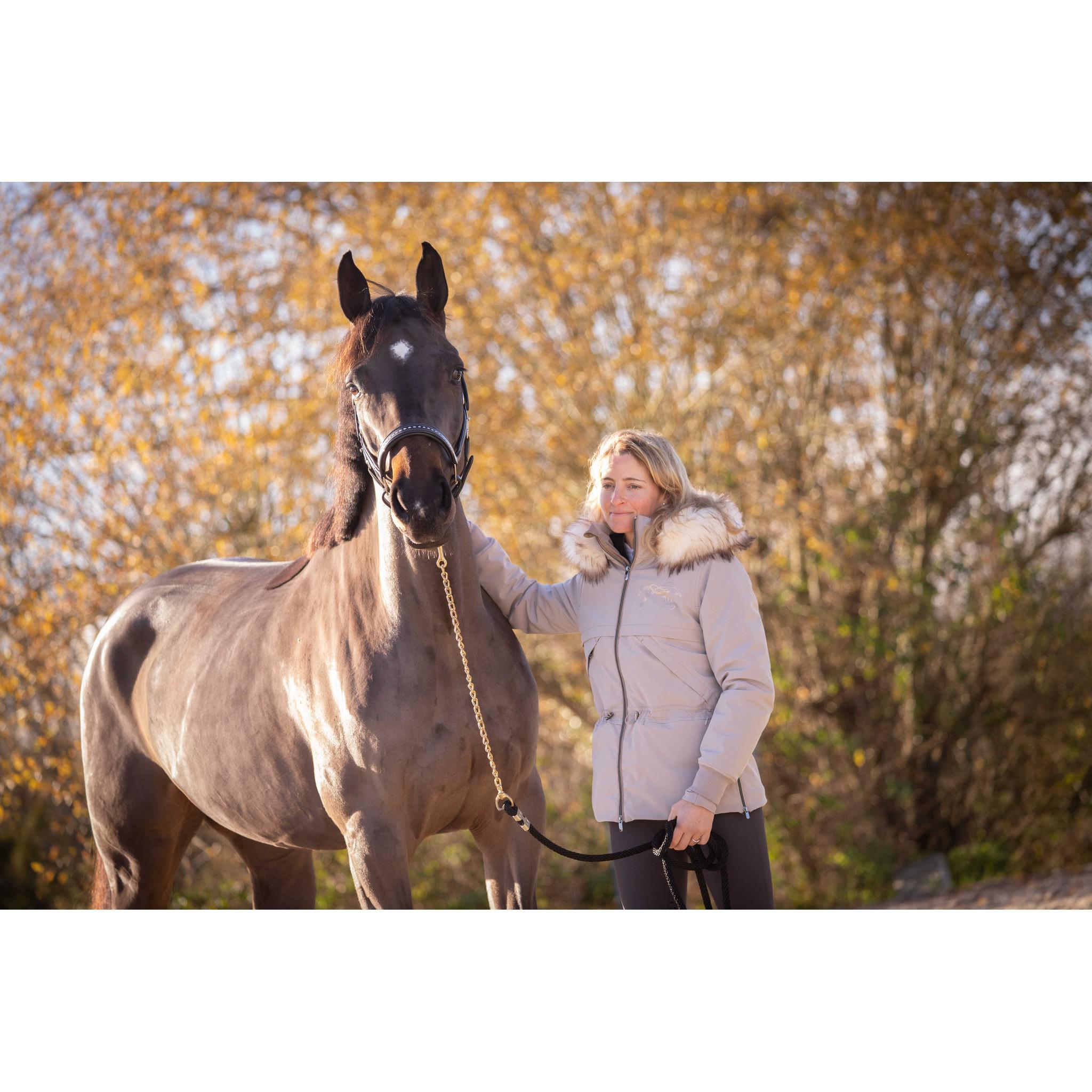 Pénélope Steppy Parka - Ladies Taupe 978824271