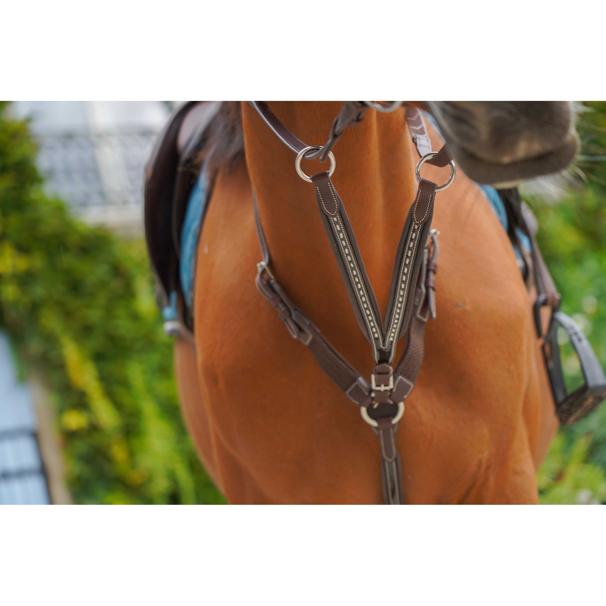 Pénélope Point Sellier Martingale Attachment Havana 306153018