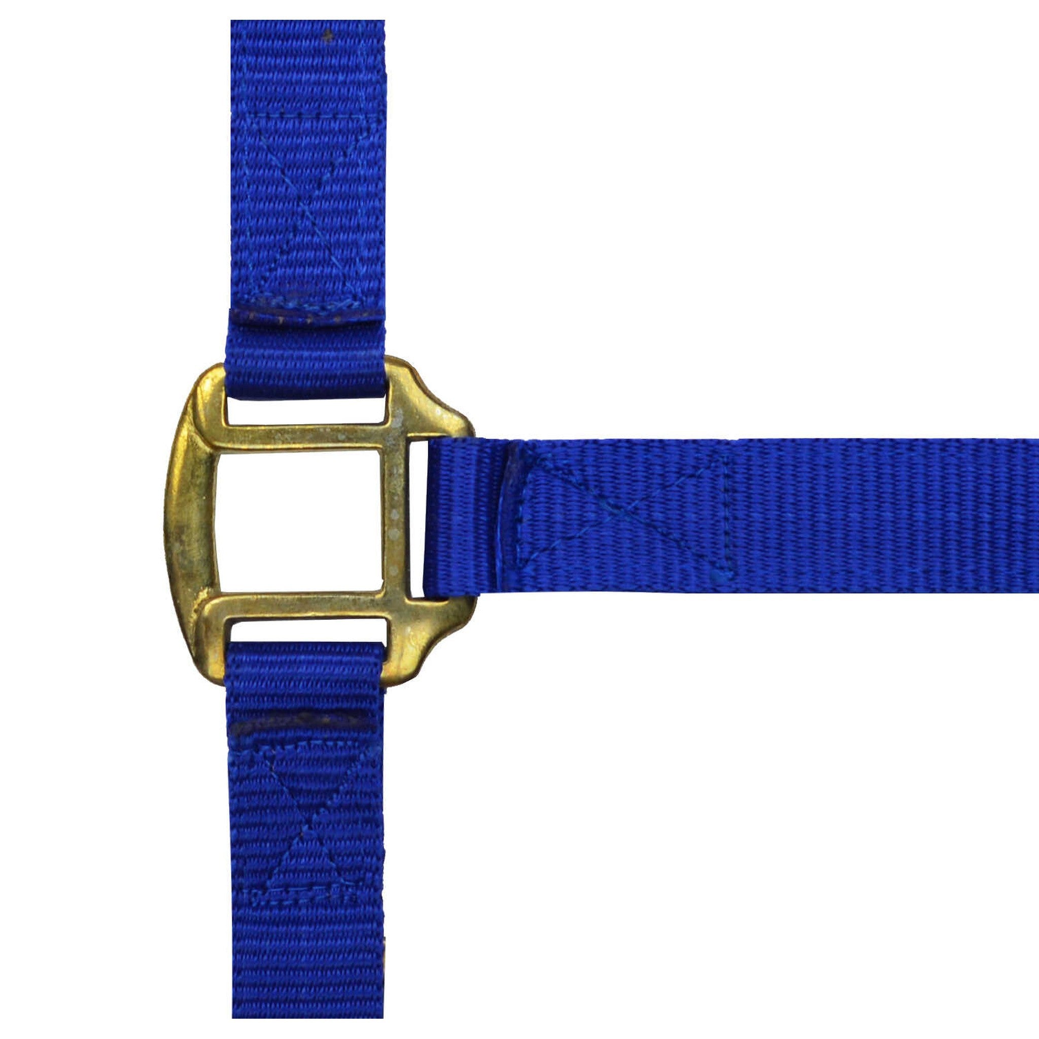 Norton Leather lined nylon headcollar Royal blue 510185006