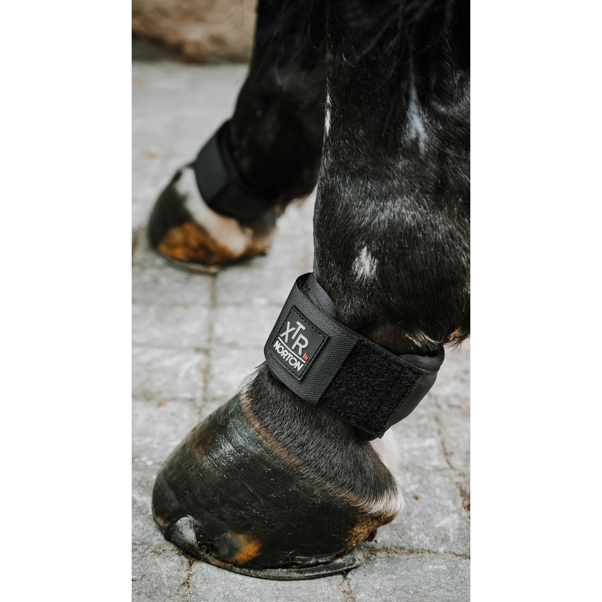 Norton XTR Gel Pastern Guard Black 545999002