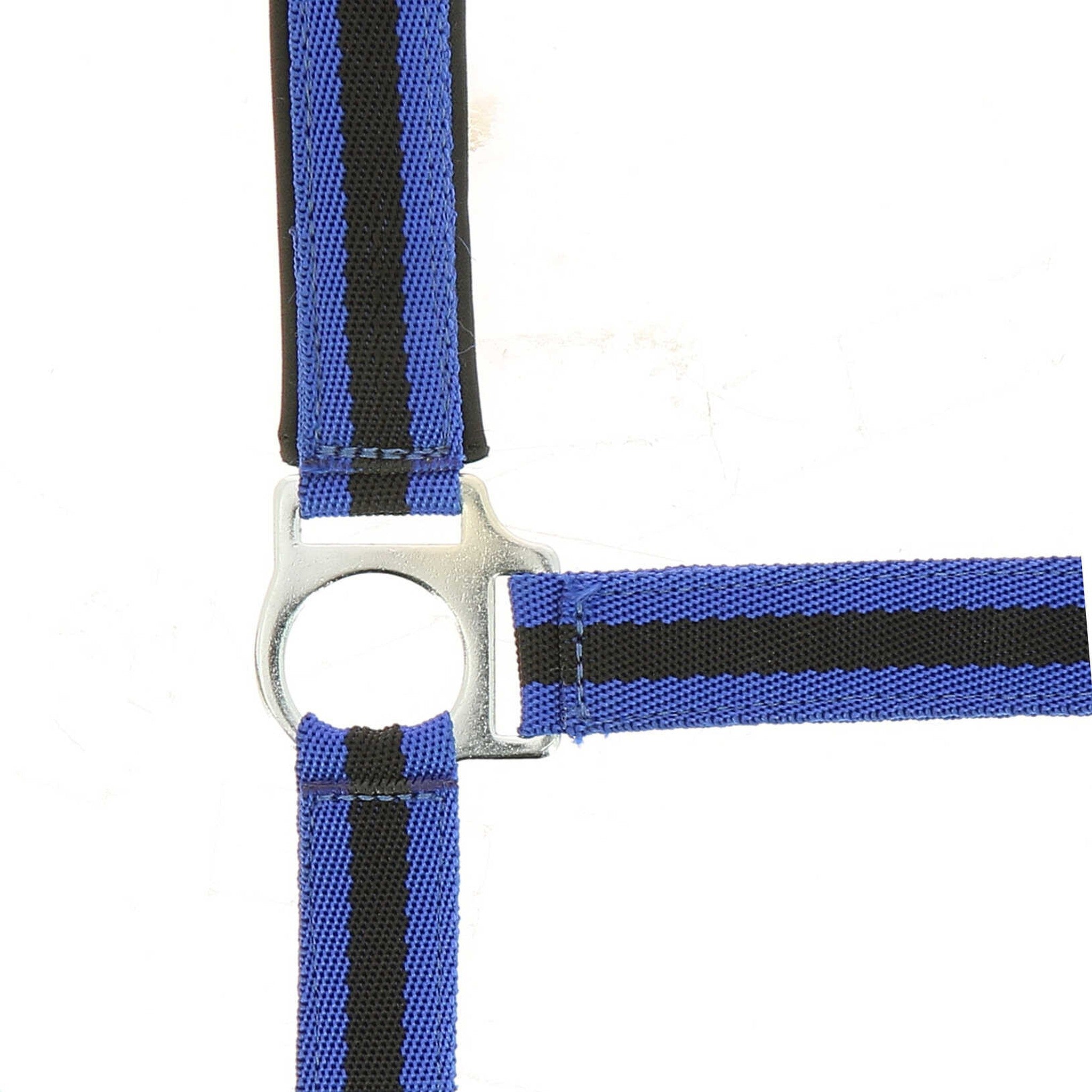 Norton nylon and neoprene lined Halter Royal blue/black 510494362