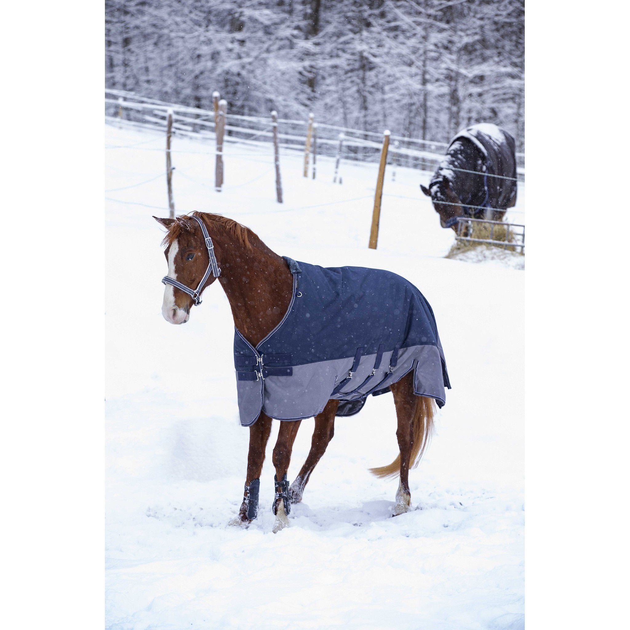 EQUITHÈME Tyrex New 600 D Turnout rug - belly belt Navy blue/grey 400922763