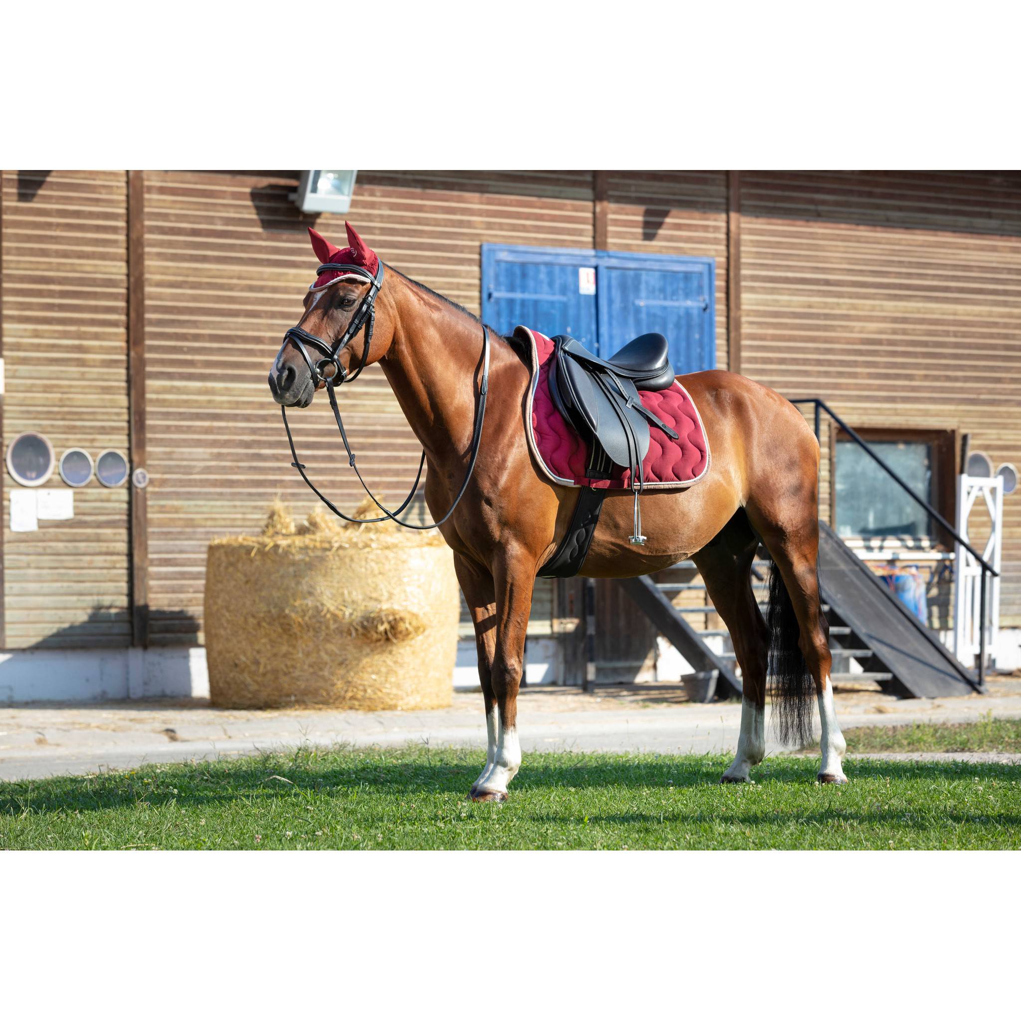 EQUITHÈME Polyfun Saddle pad - All purpose Burgundy 204450033