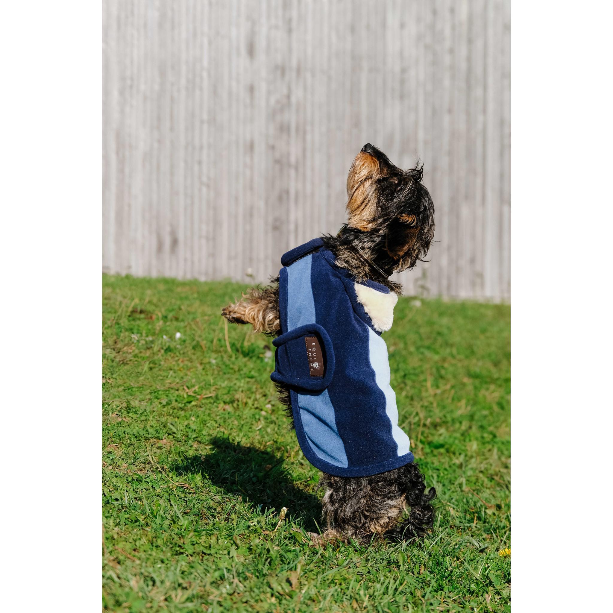 EQUITHÈME New Market Dog Rug Navy blue 409033740