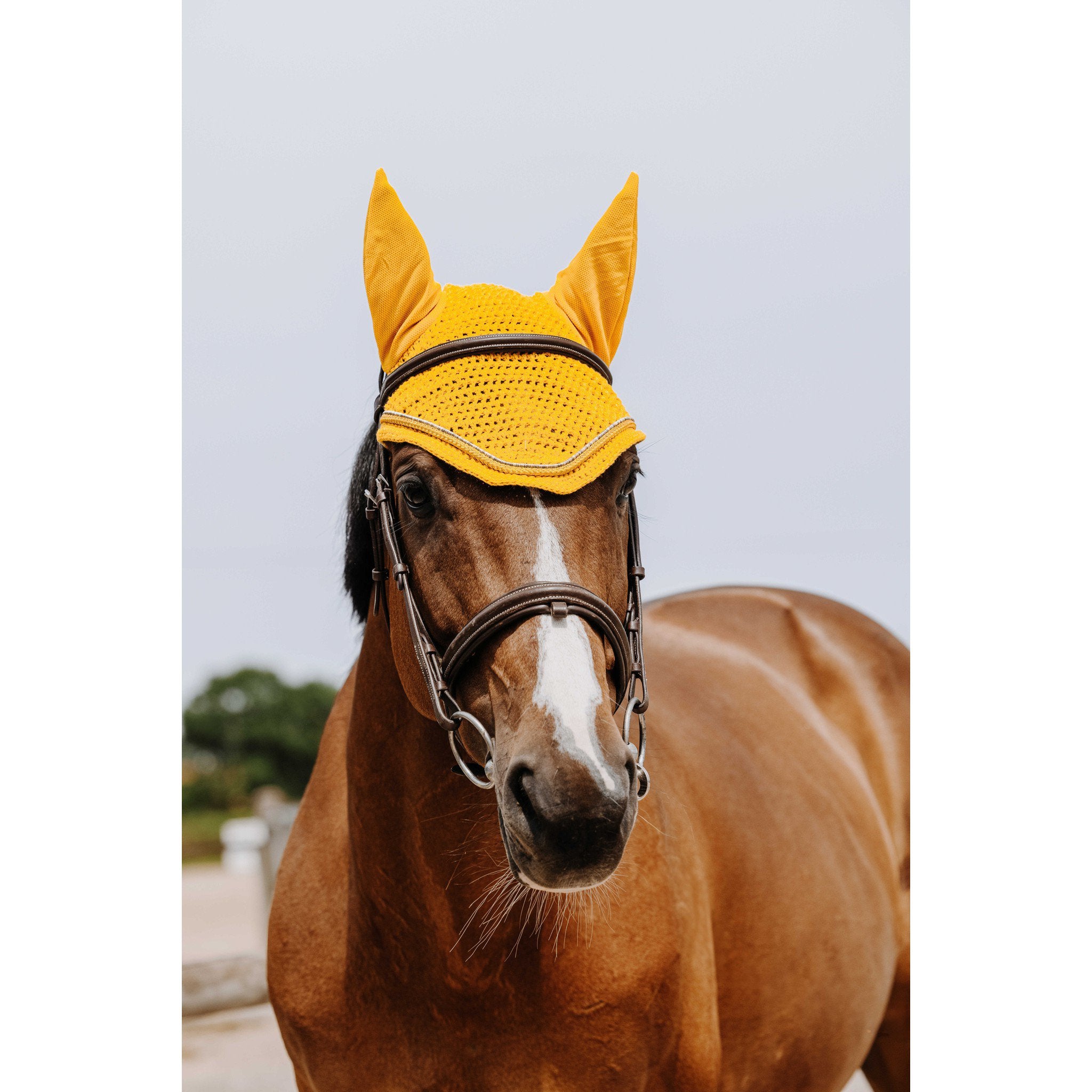 EQUITHÈME Hexalight fly veil Yellow 306882010