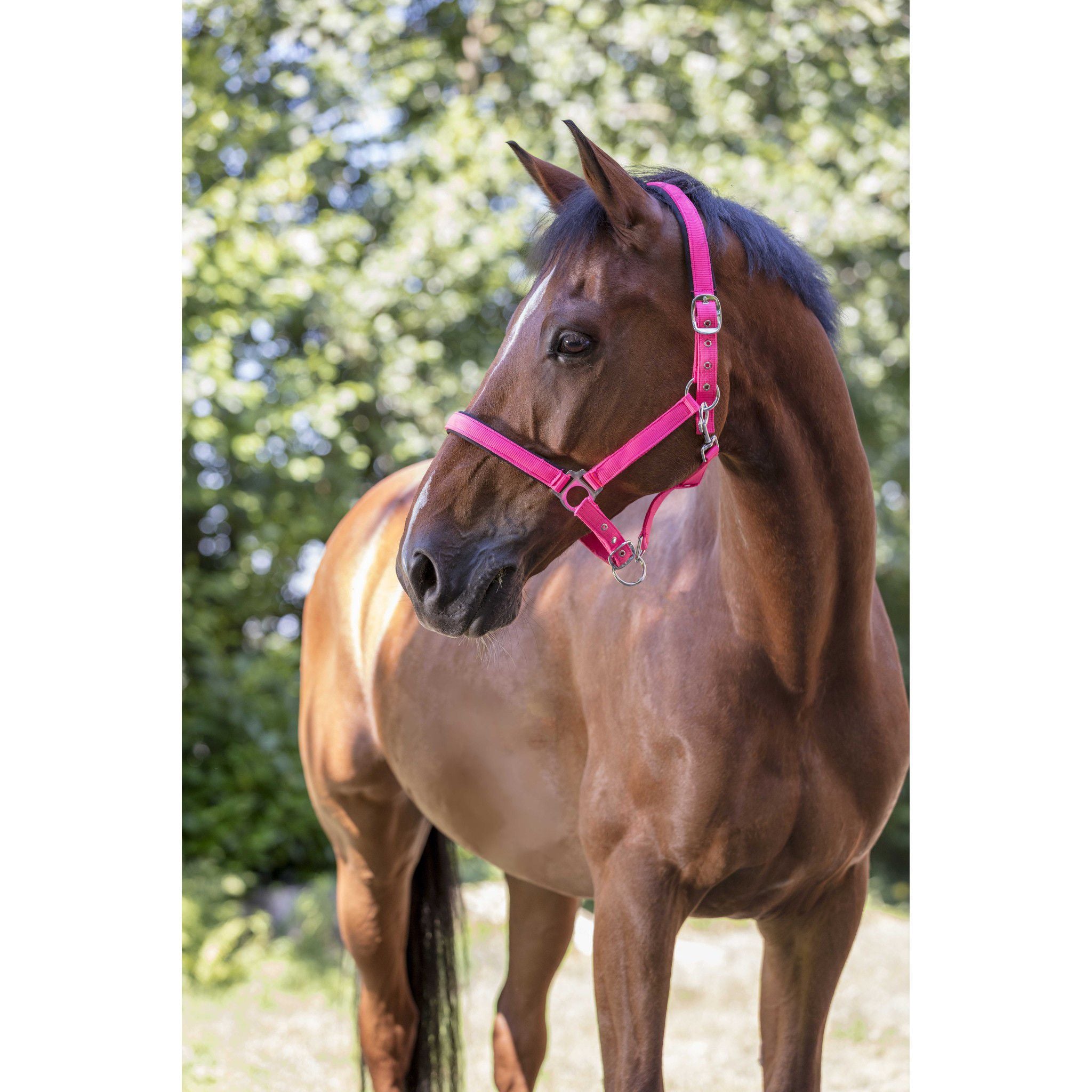 Norton Fluo Lined Halter Pink 510013323