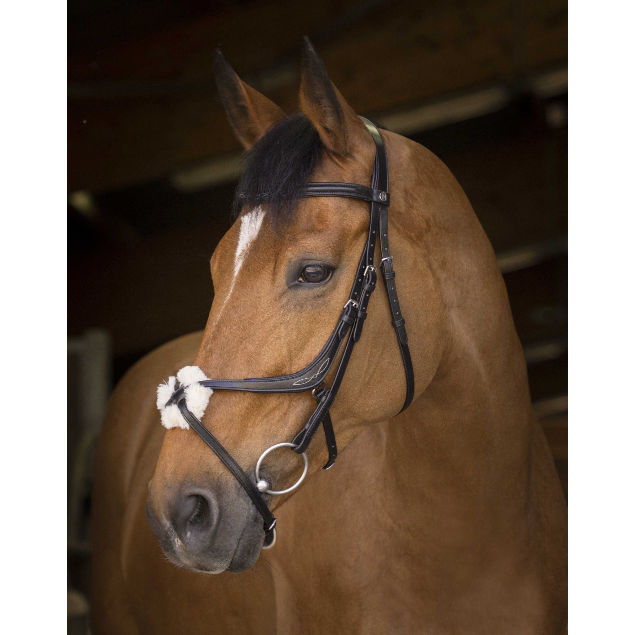 Norton Pro cross noseband Bridle Black 301893302