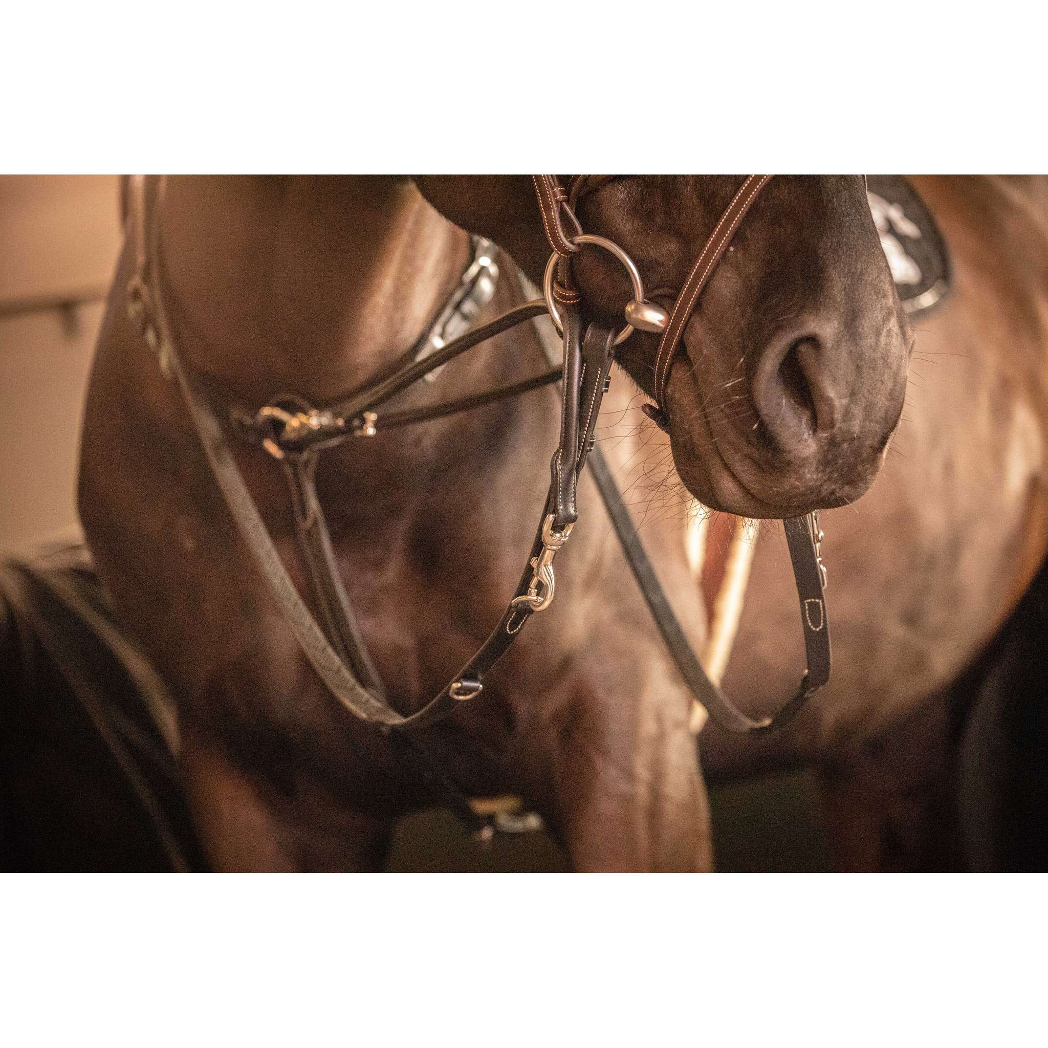 Pénélope Howlett Reins Black 301637302