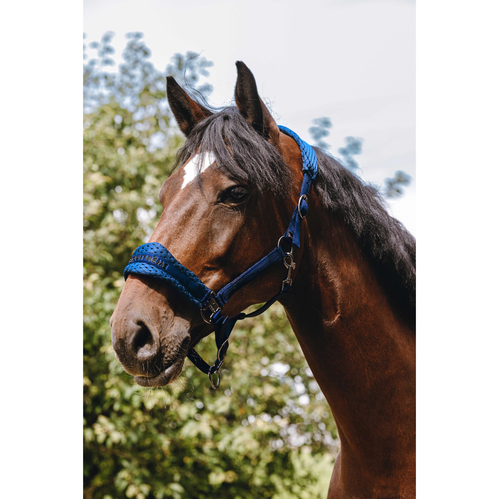 EQUITHÈME 3D Mesh Halter Royal blue 510261306