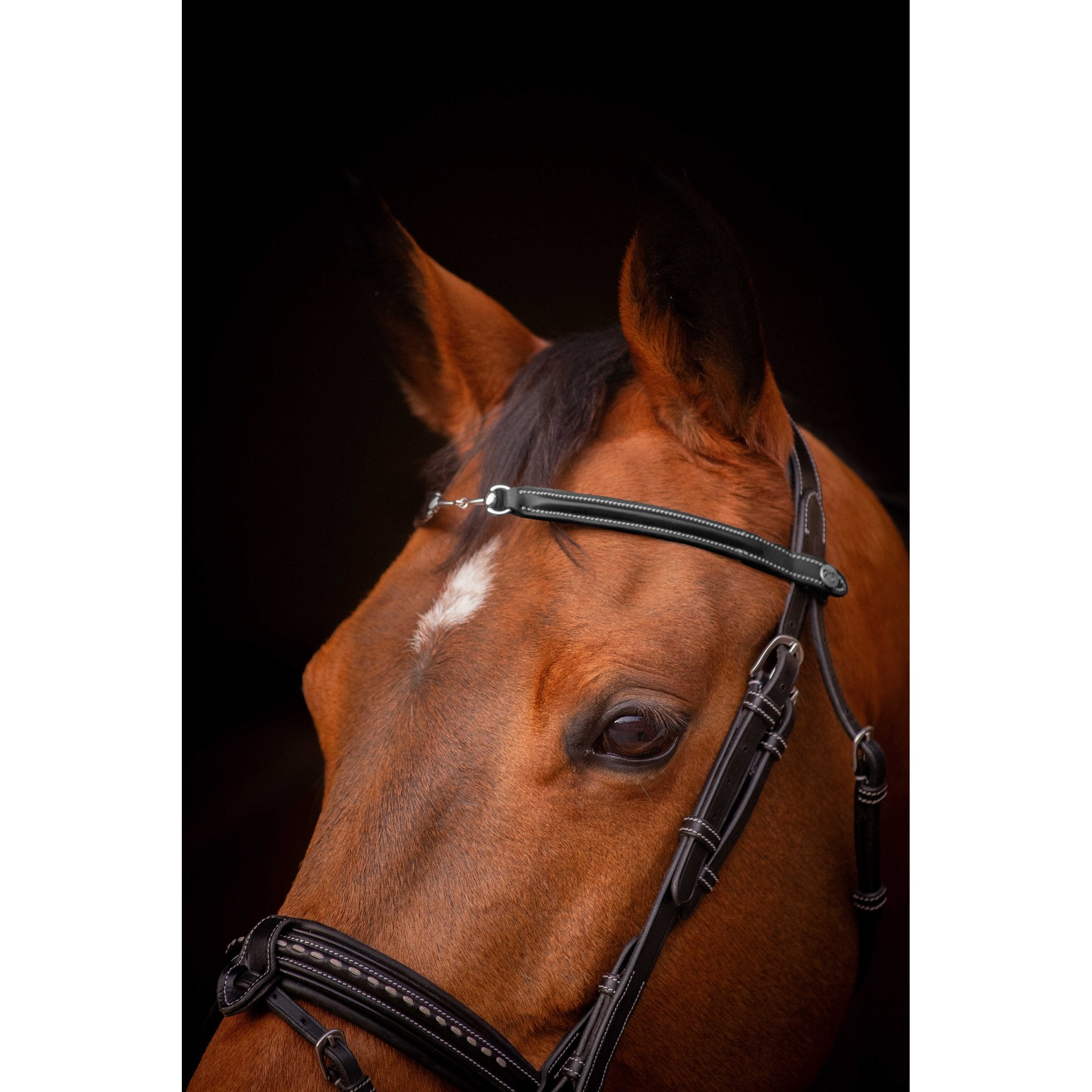 PENELOPE "Opale" Browband Black - 304403302_ambi_2