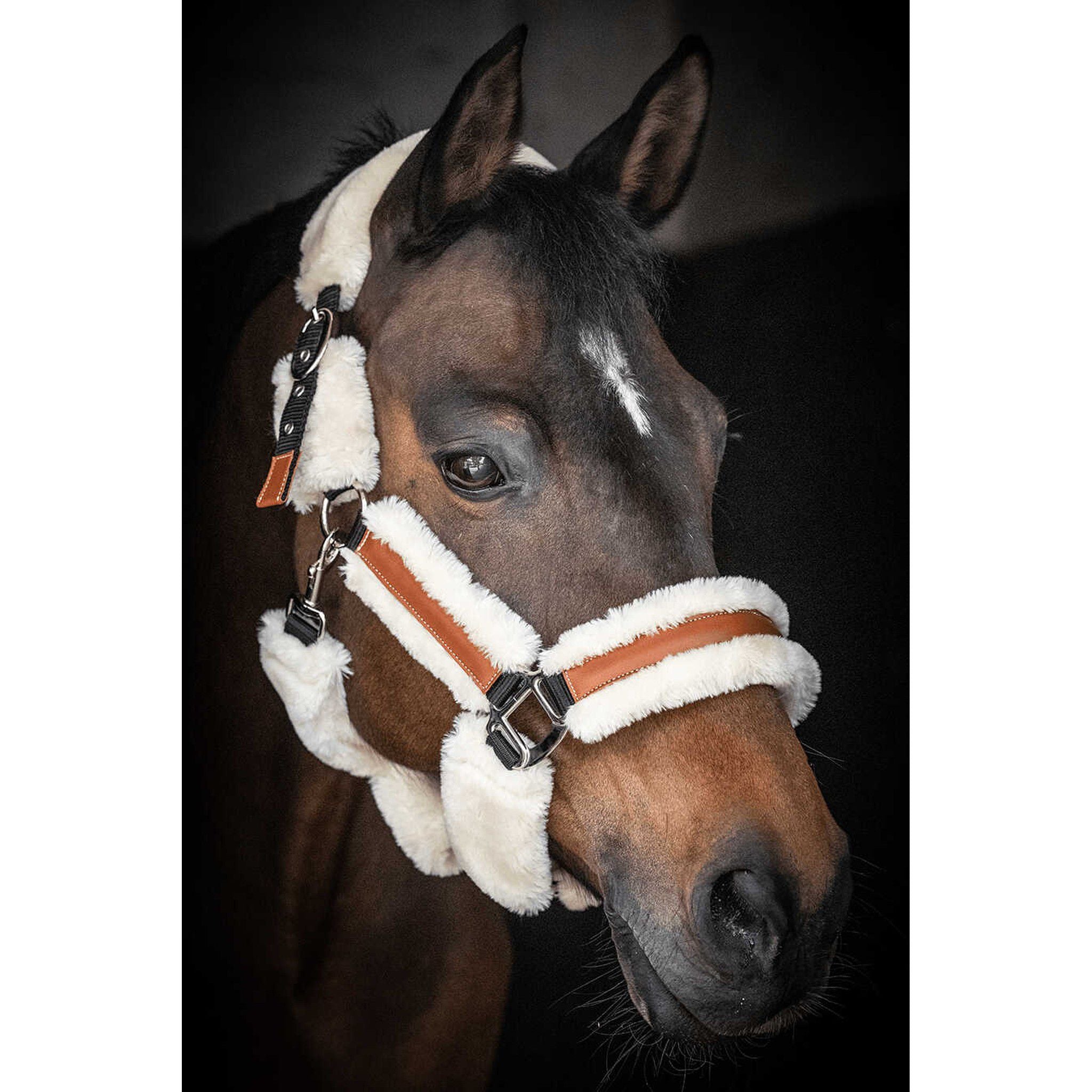 Pénélope Soft halter Black/ecru 510902325