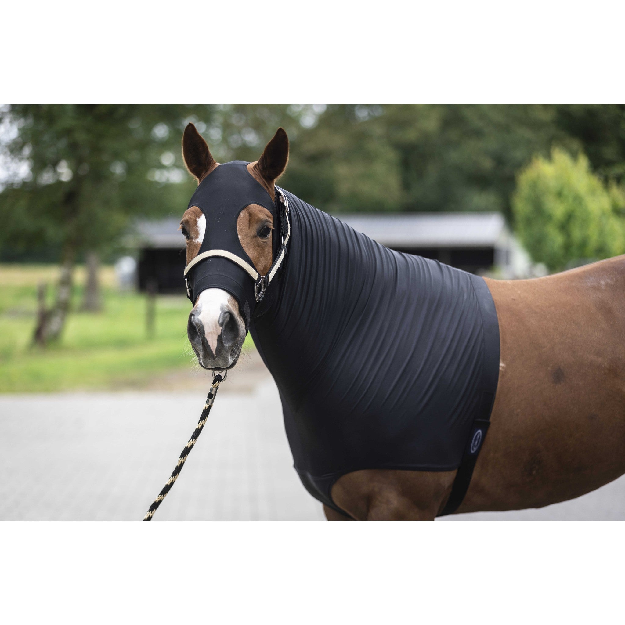 Lami-Cell Lycra Head and Neck Protection Black 400406202