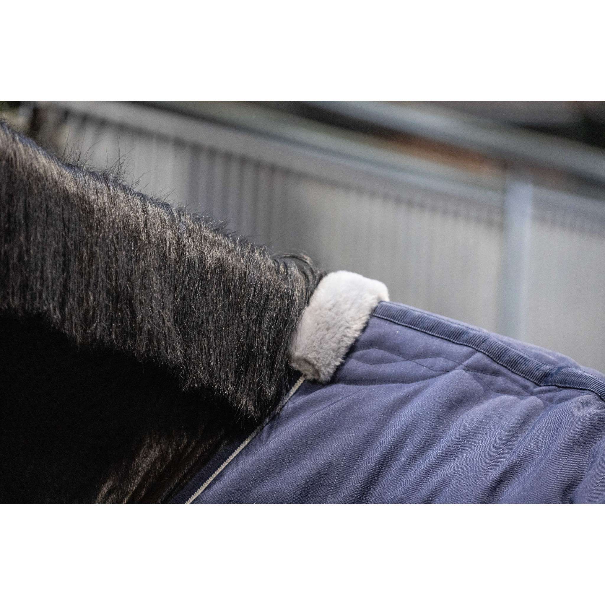 Lami-Cell Stable Master Stable Rug Navy blue 400766060