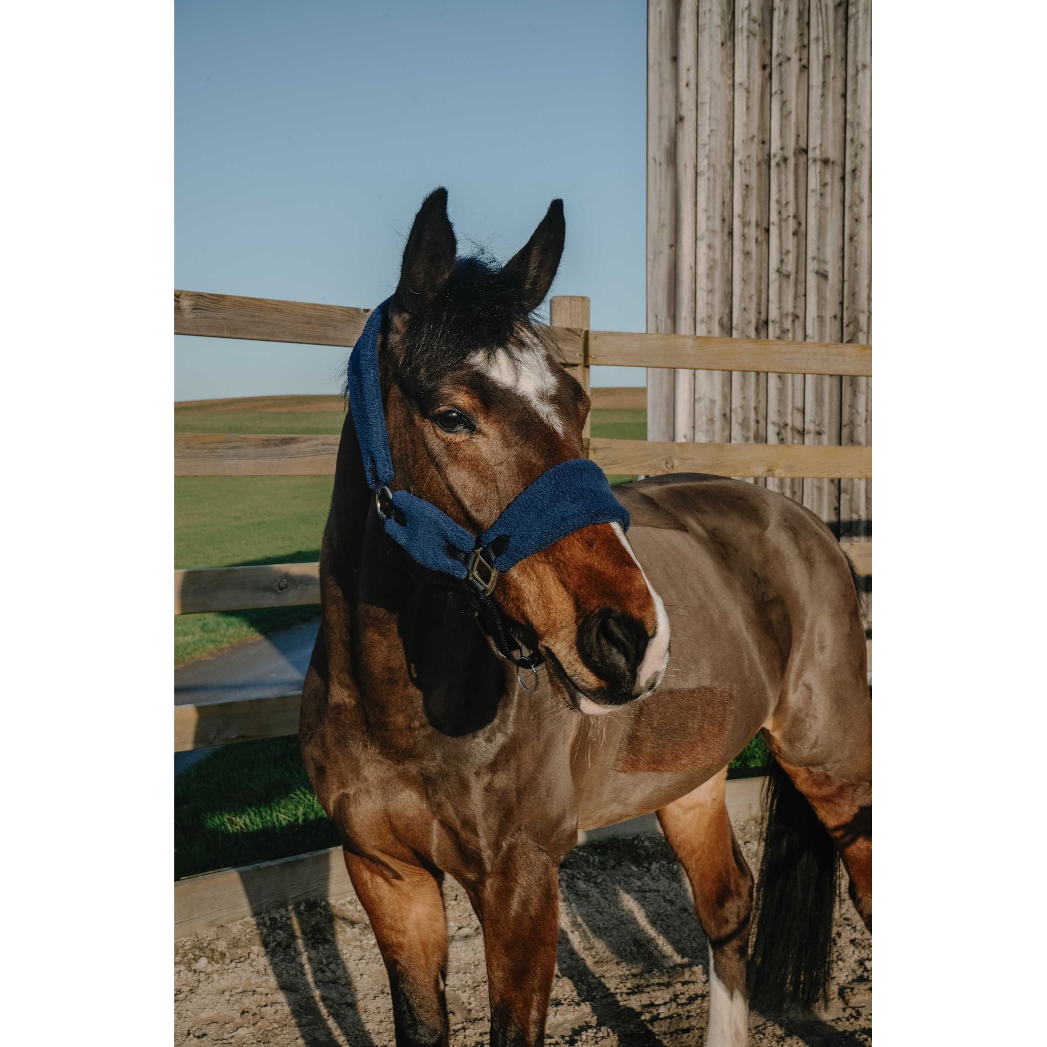 NORTON Sherpa Halter Navy blue - 510279307_ambi_1