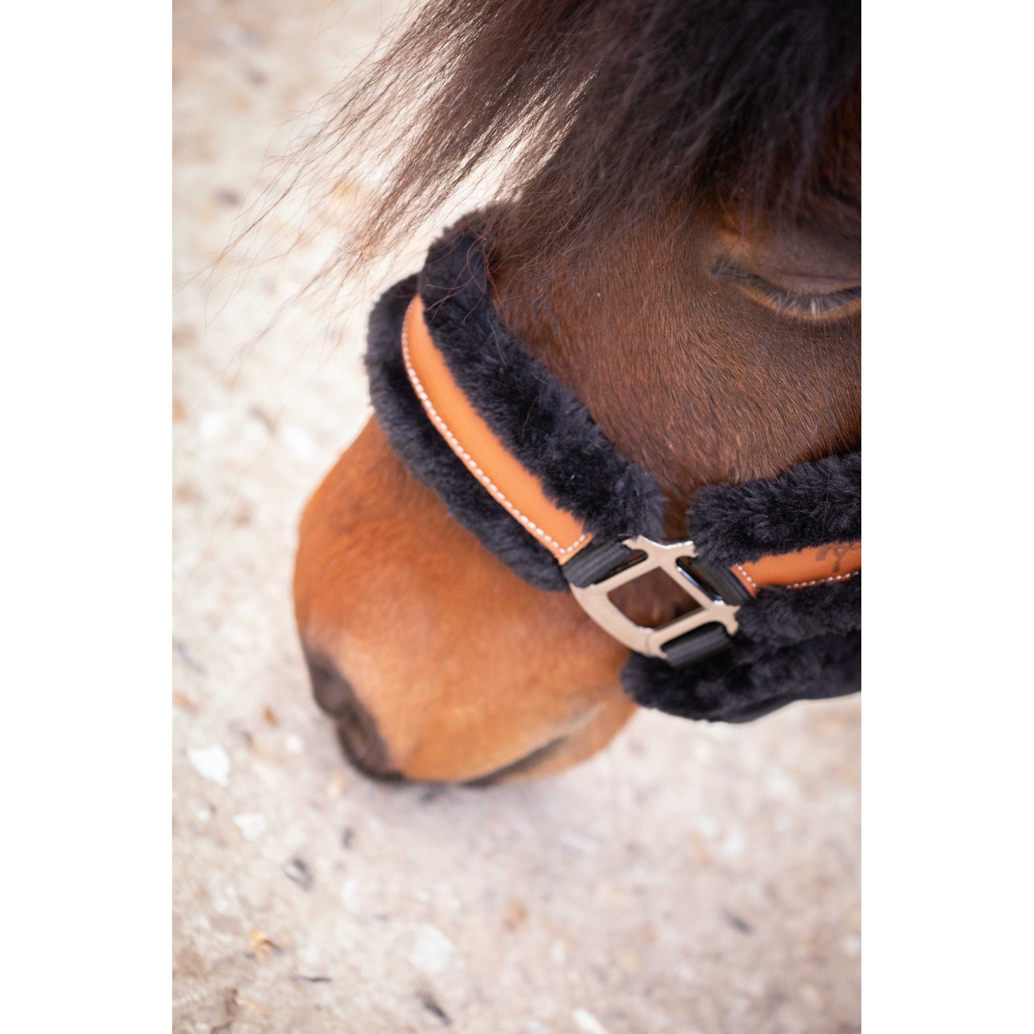 Pénélope Soft halter Black/ecru 510902025