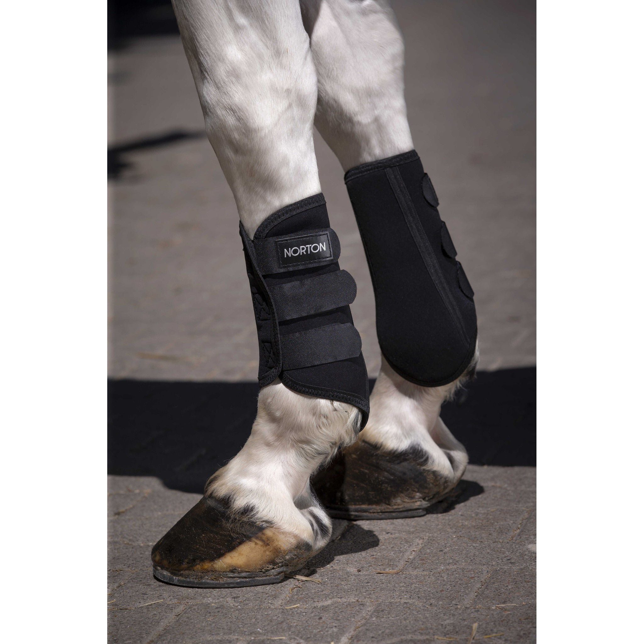 Norton Elastic tendon boots Black 530895202
