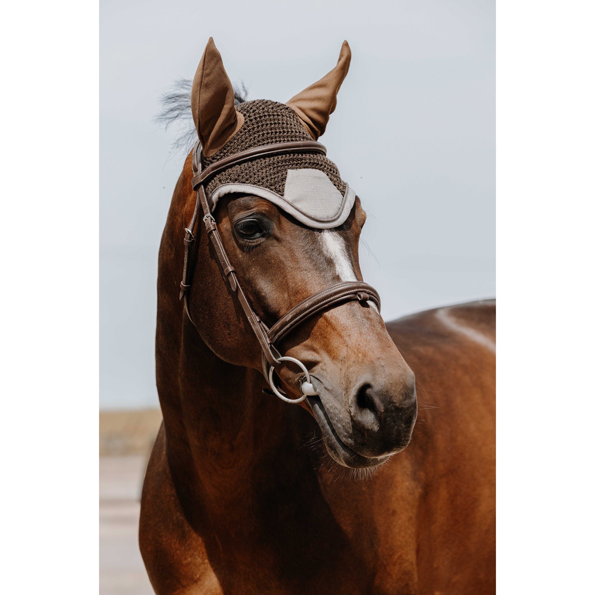 EQUITHÈME Chic fly veil chestnut brown 306880004