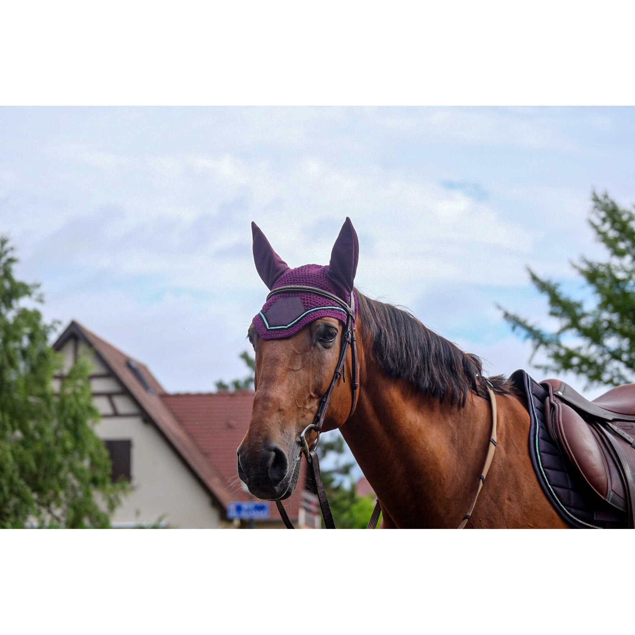 EQUITHÈME Domino Fly Veil Purple - 306975015_ambi_2