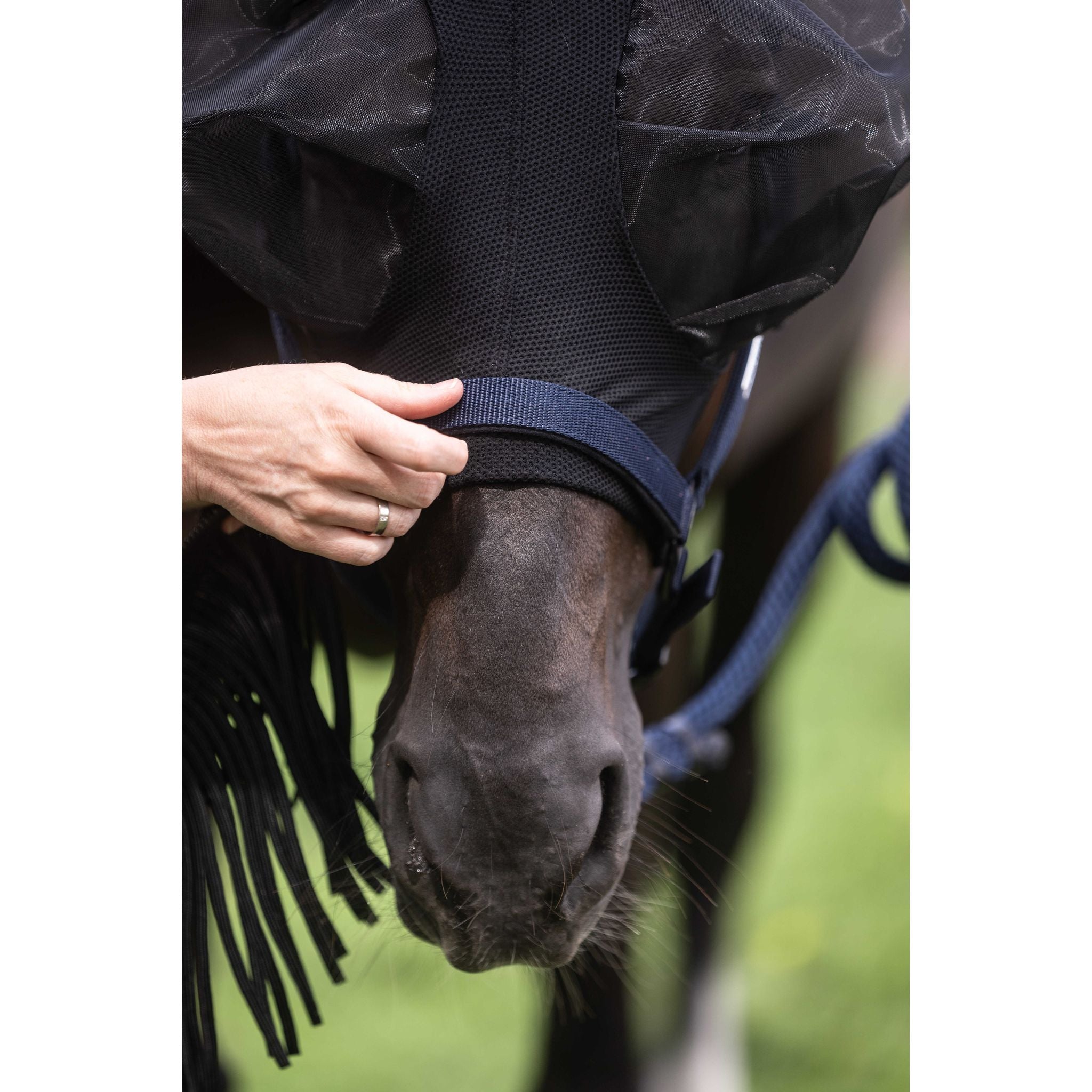 LAMI-CELL Flexifit 3-in-1 Fly Mask Black - 306047302_ambi_9