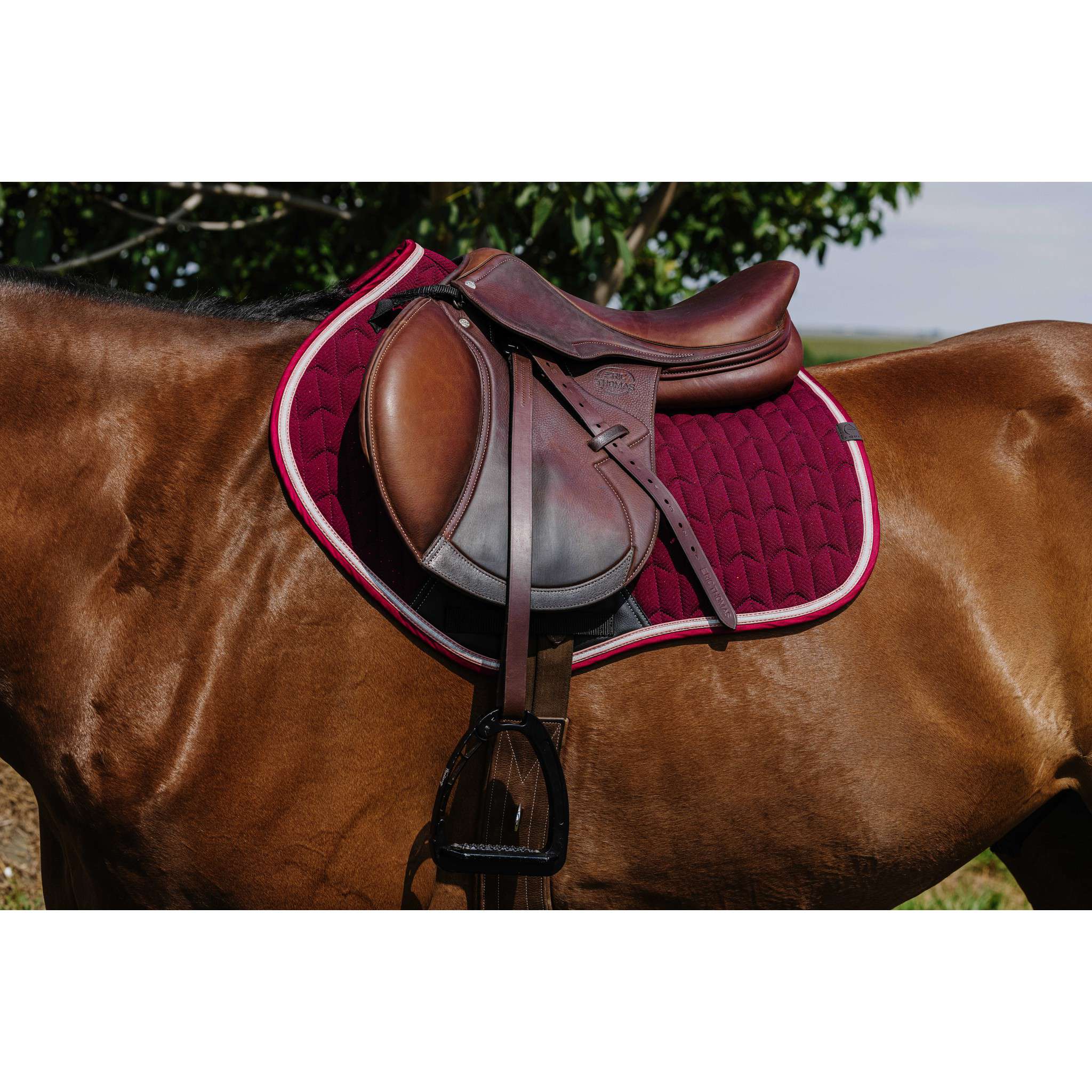 EQUITHÈME Éclat Saddle Pad - All purpose Burgundy 204008033