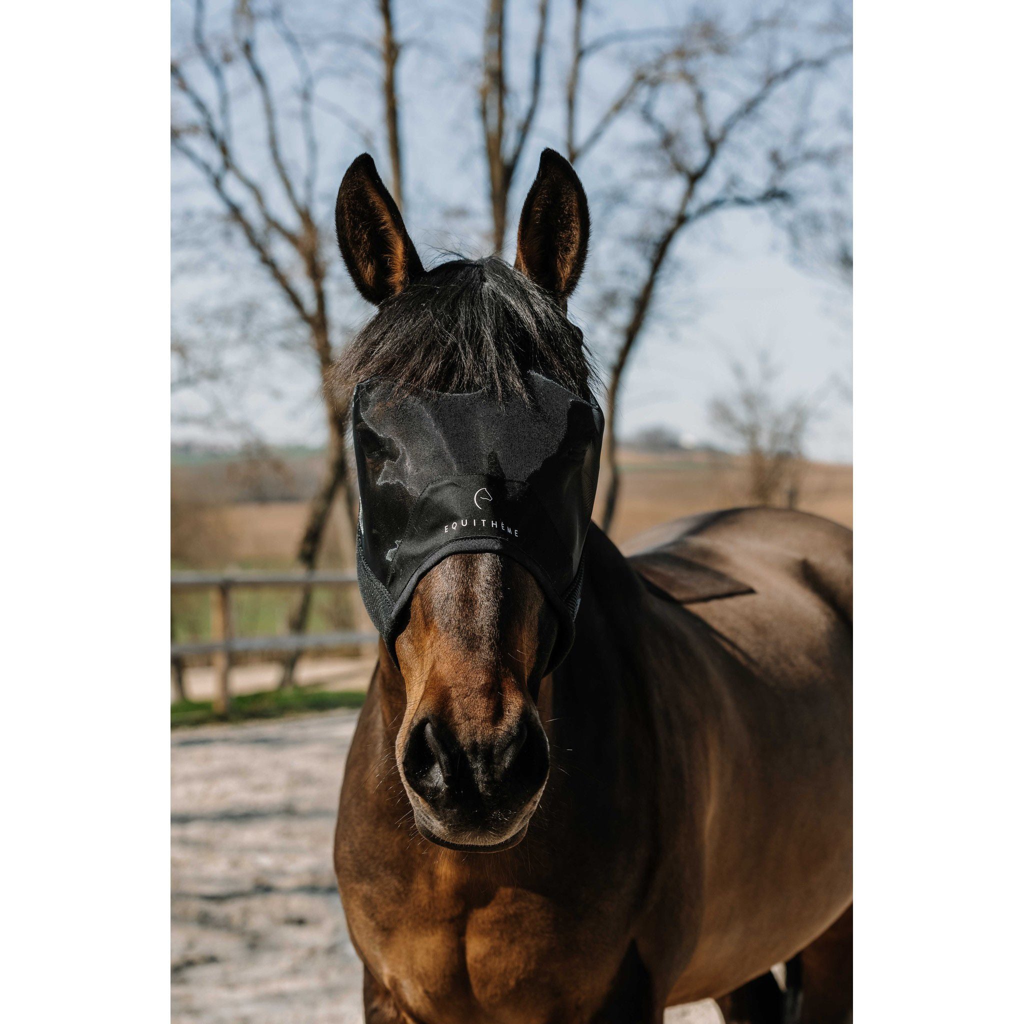 EQUITHÈME Mesh UV Protection Fly Mask without ears Black 306024203