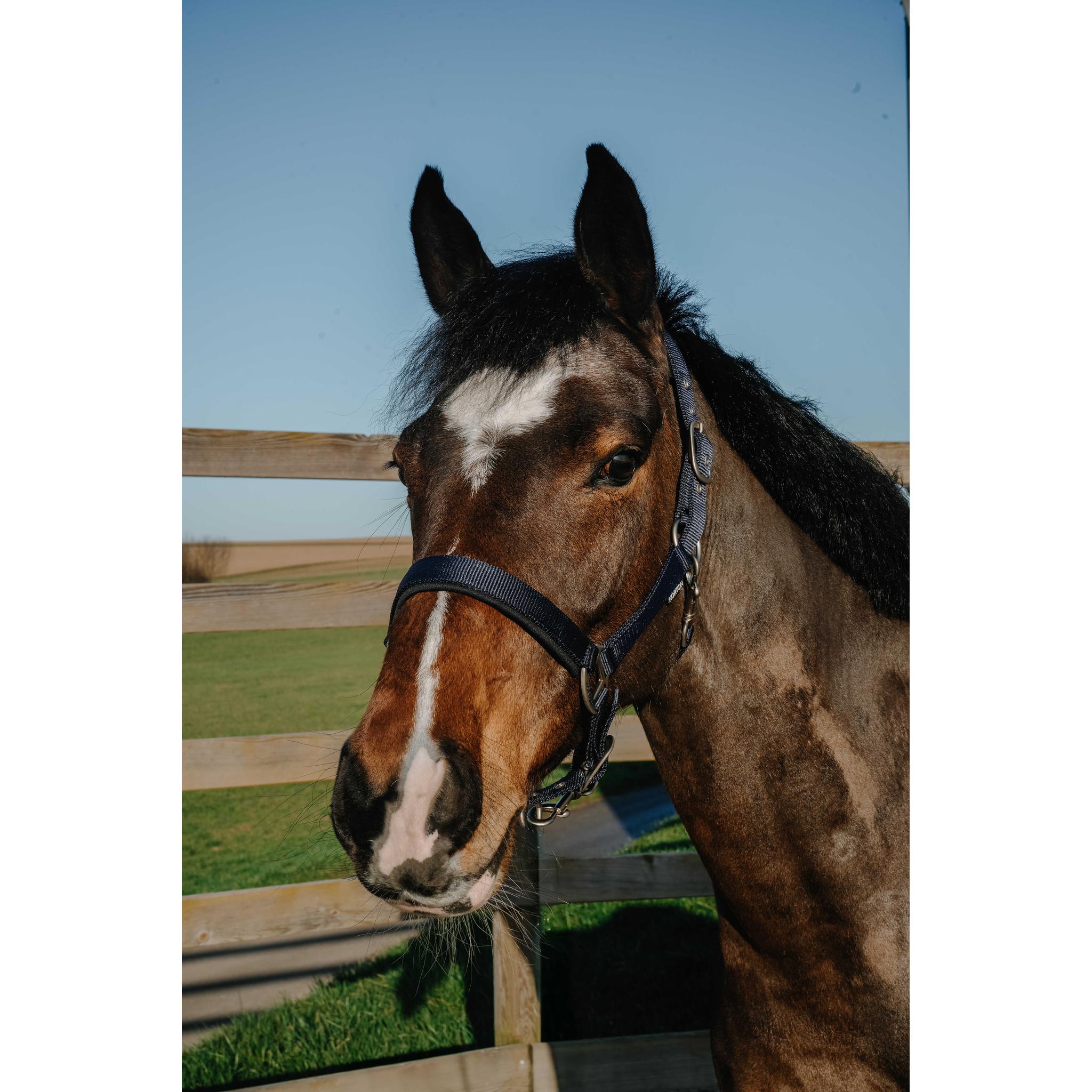 NORTON Pearl Halter Navy blue - 510343307_ambi_1