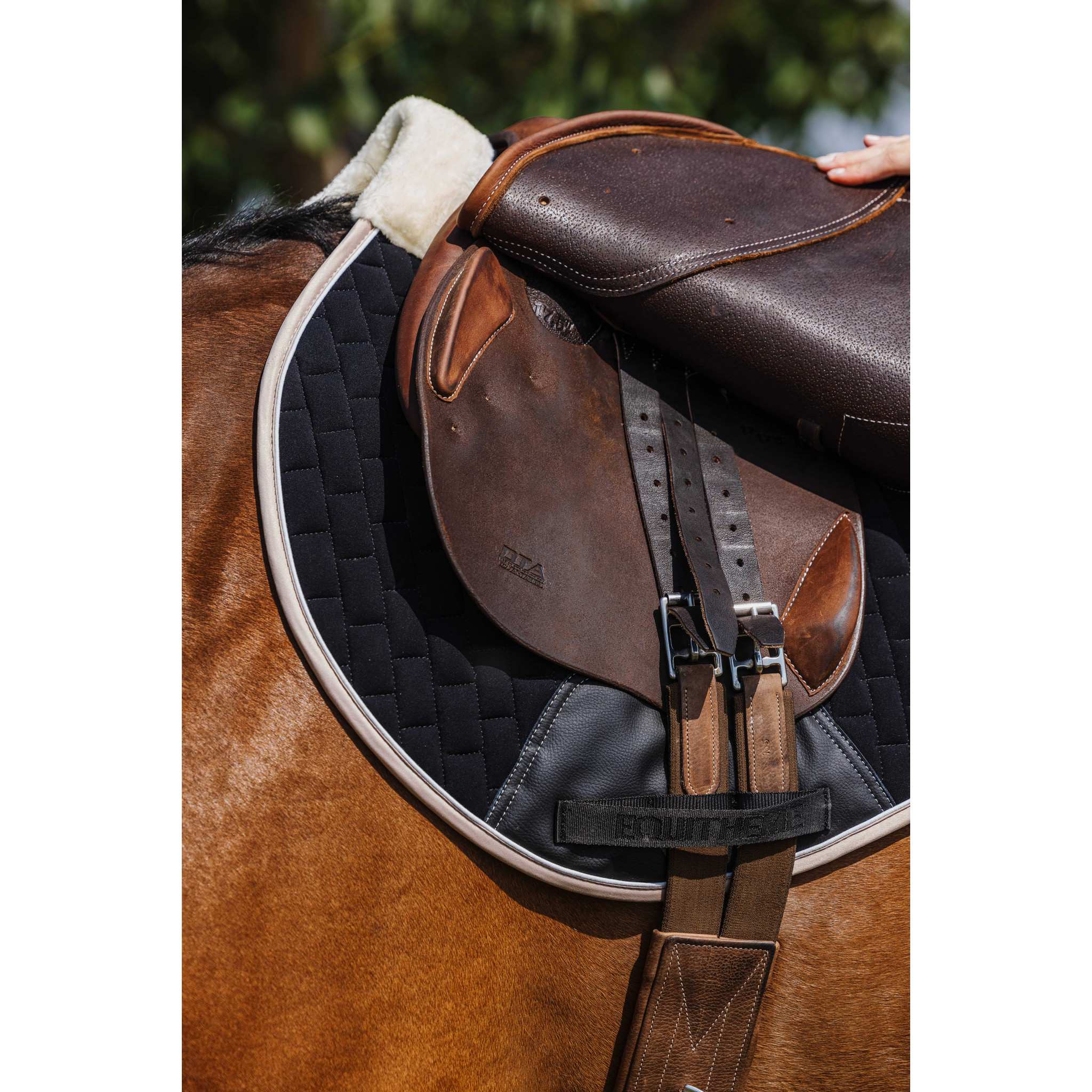 EQUITHÈME Dinard Saddle Pad - All purpose Black 204007002