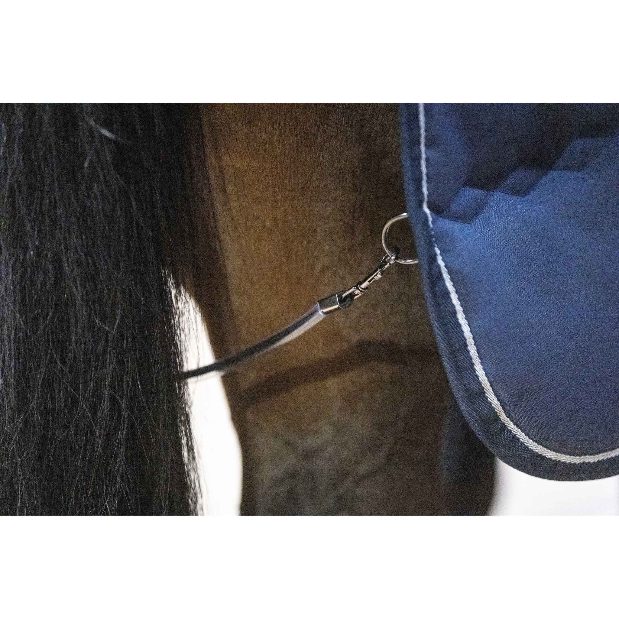 Lami-Cell Stable Master Stable Rug Navy blue 400766060